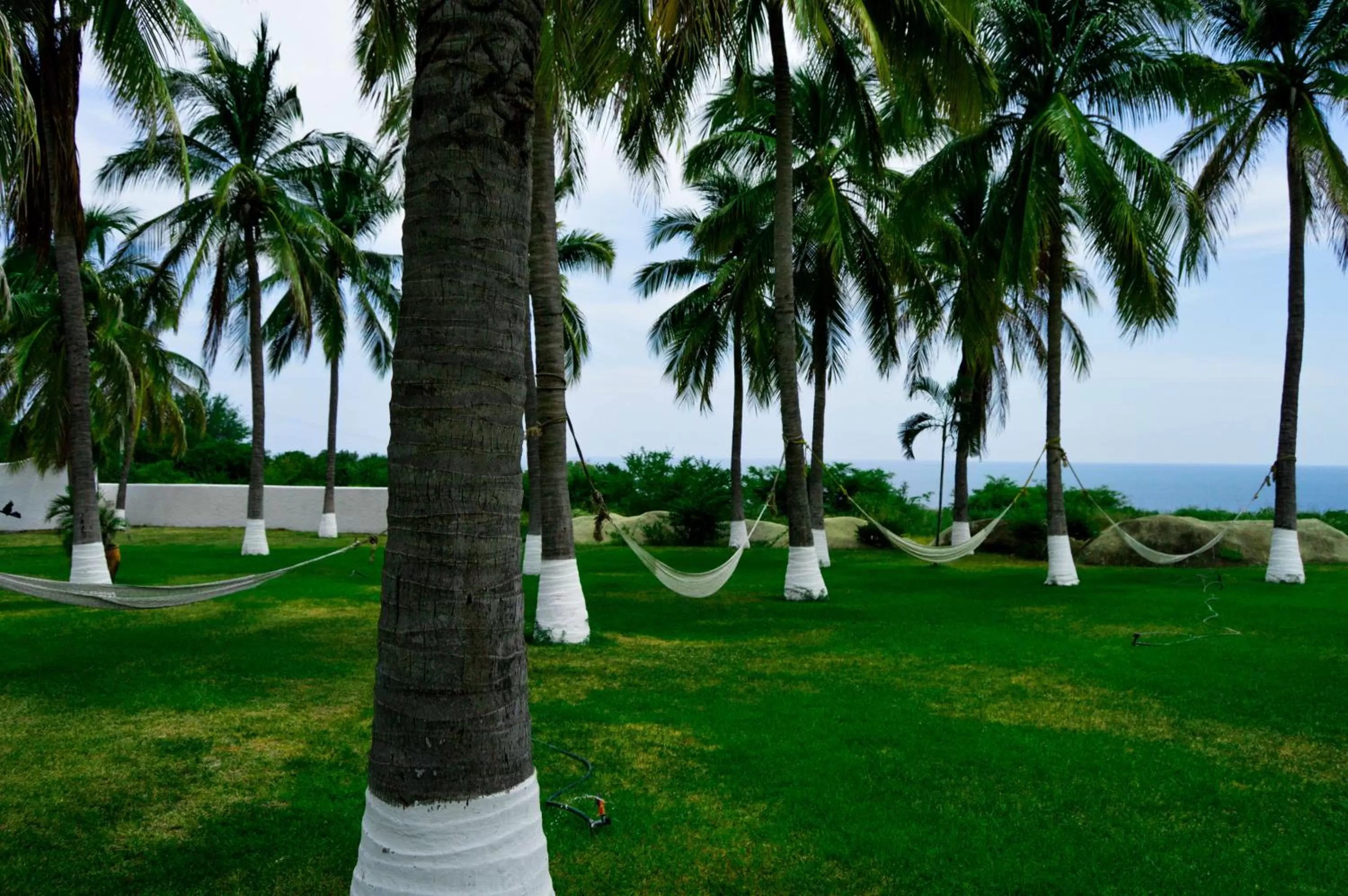 Day in Hotel Aldea del Bazar & Spa