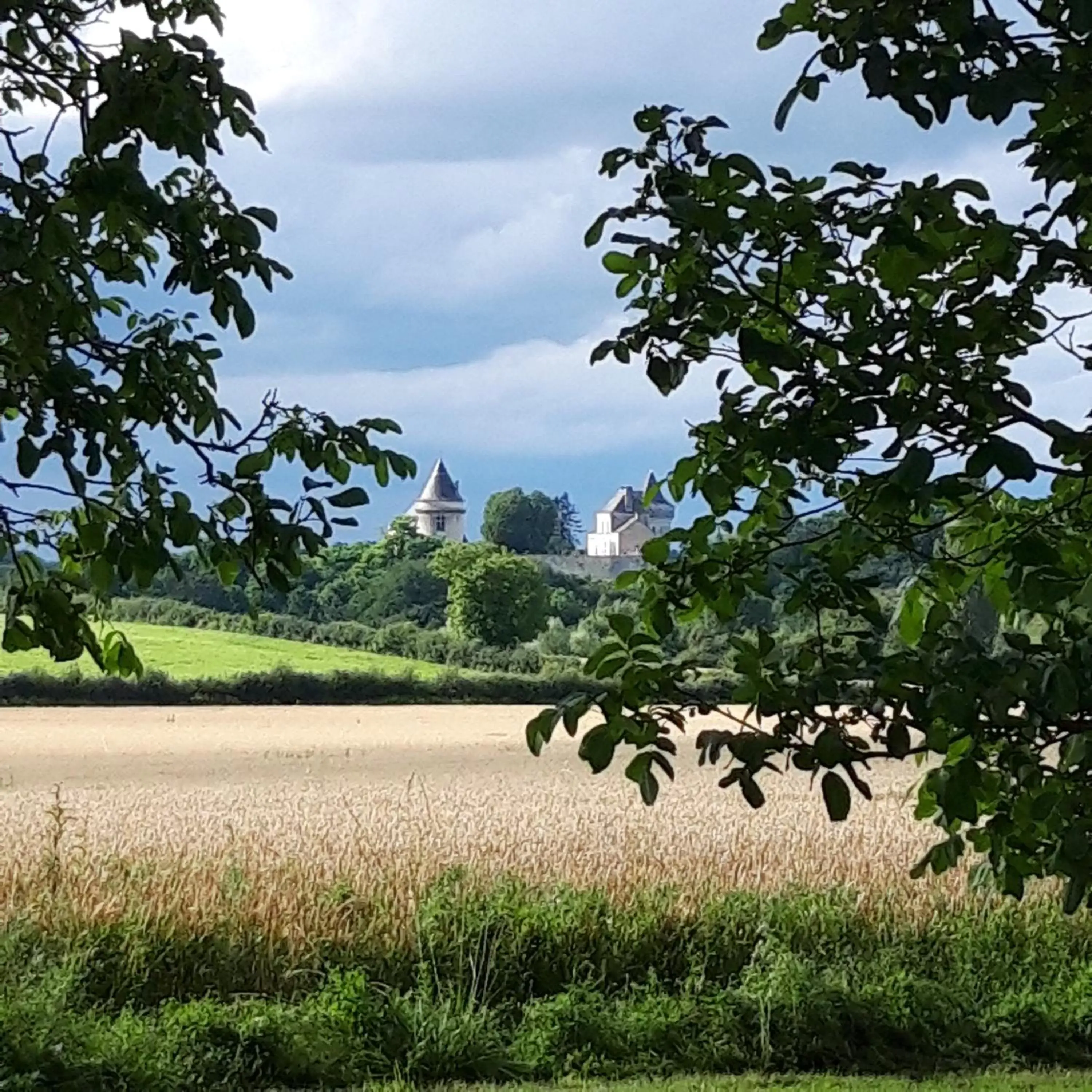 L'EDEN proche du Zoo de Beauval de Saint Aignan L'EDEN proche du Zoo de Beauval de Saint Aignan