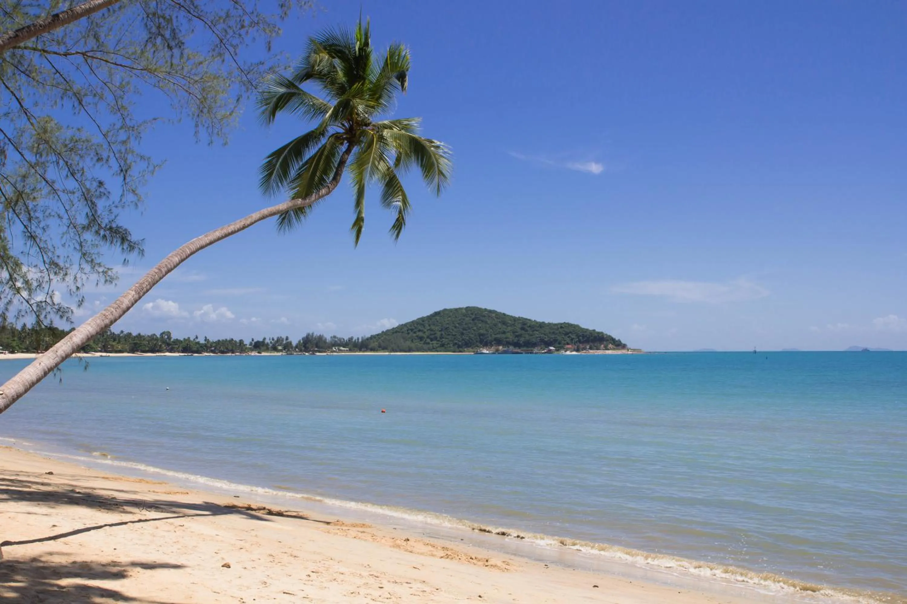 Beach in Rajapruek Samui Resort - SHA Plus