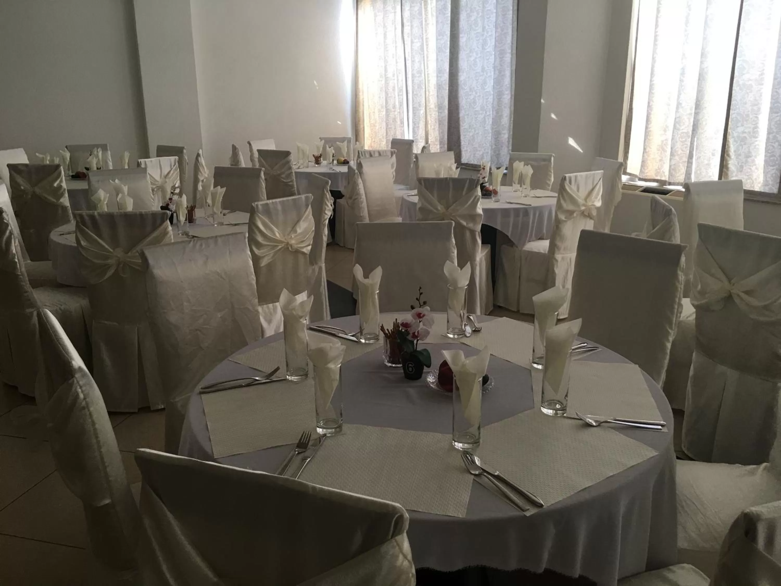 Restaurant/places to eat, Banquet Facilities in Hotel Albatros