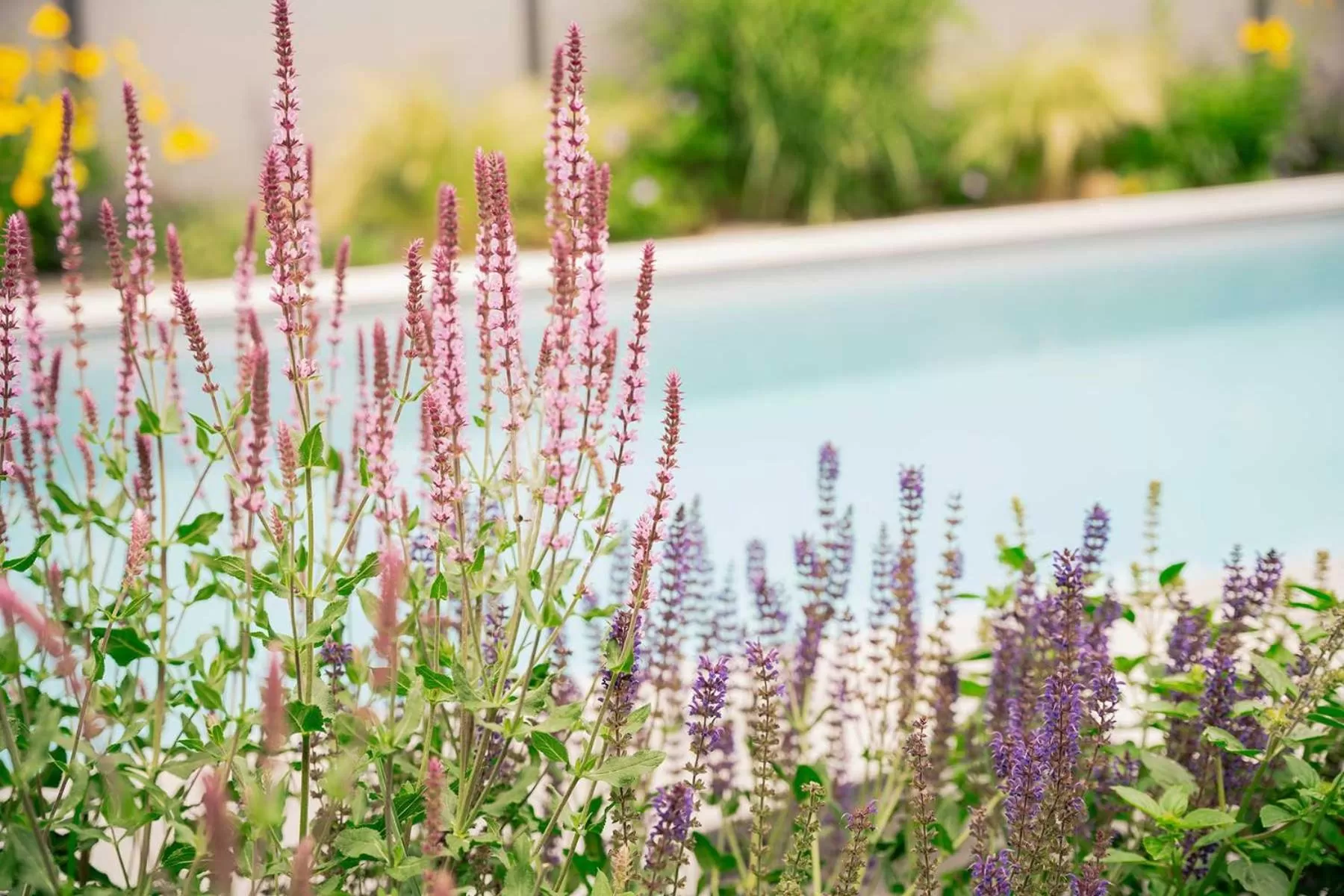 Garden in Hotel Park Cafe Reichl