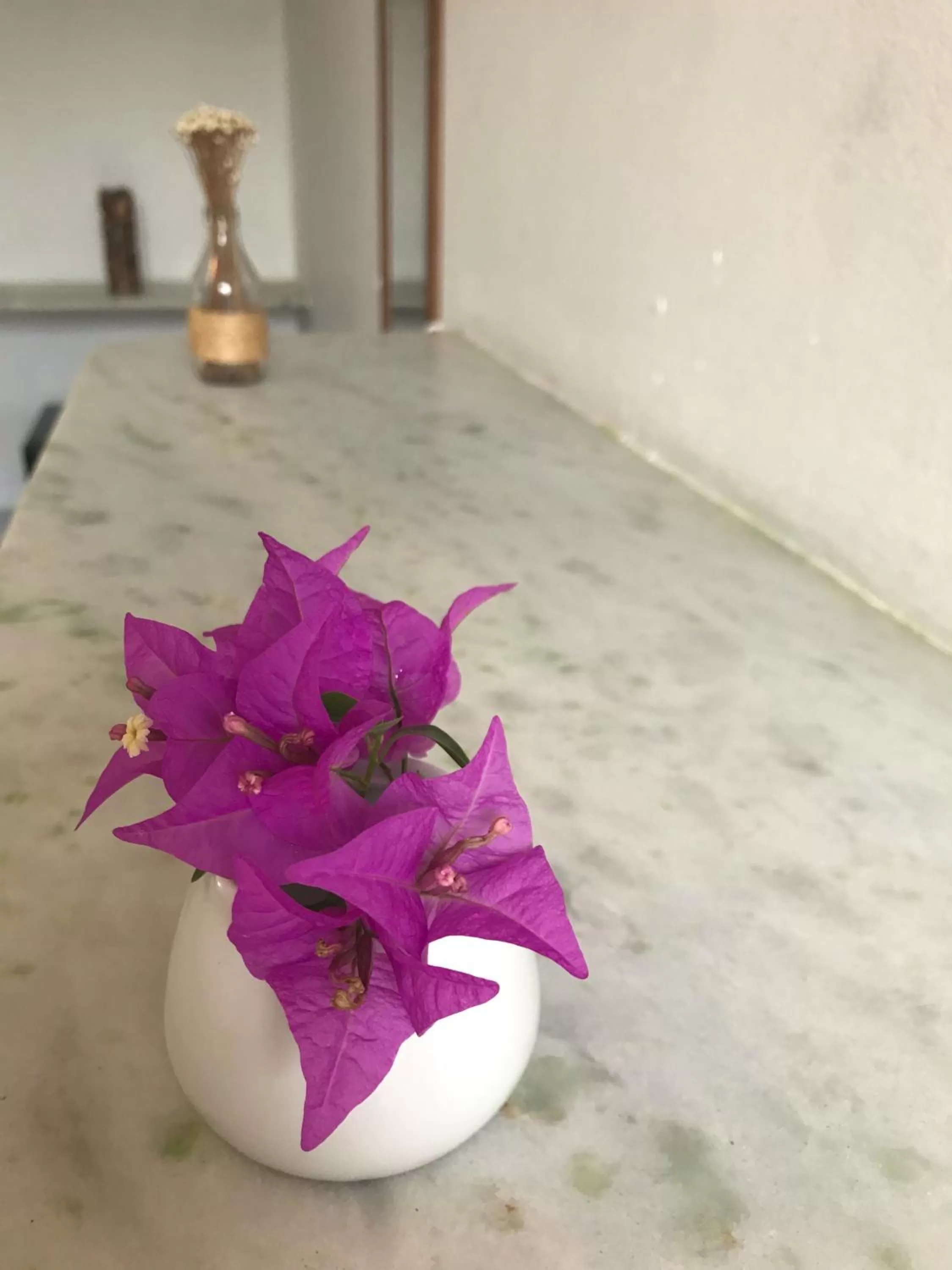 Decorative detail in Pousada America do Sol