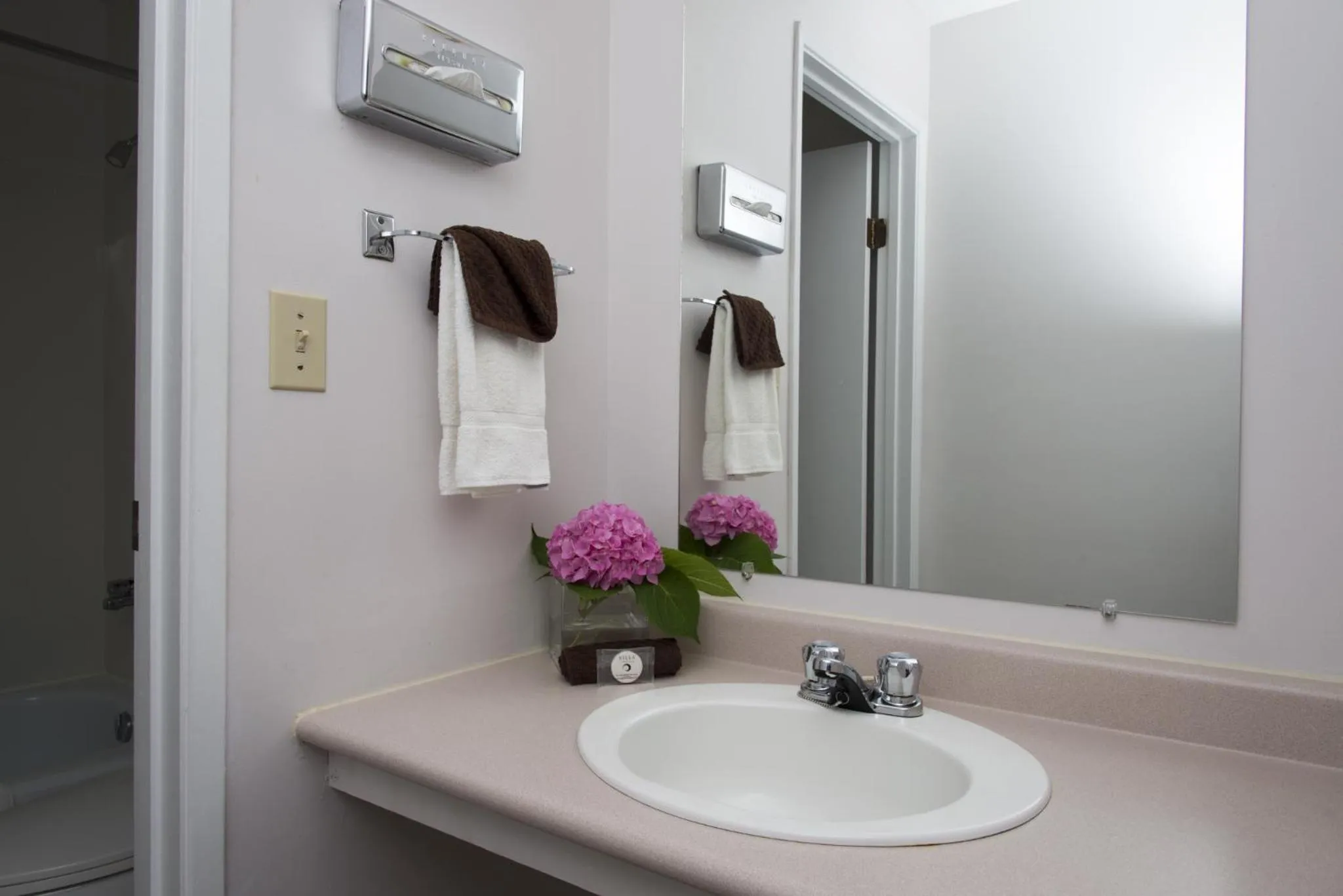 Bathroom in Valley Star Motel
