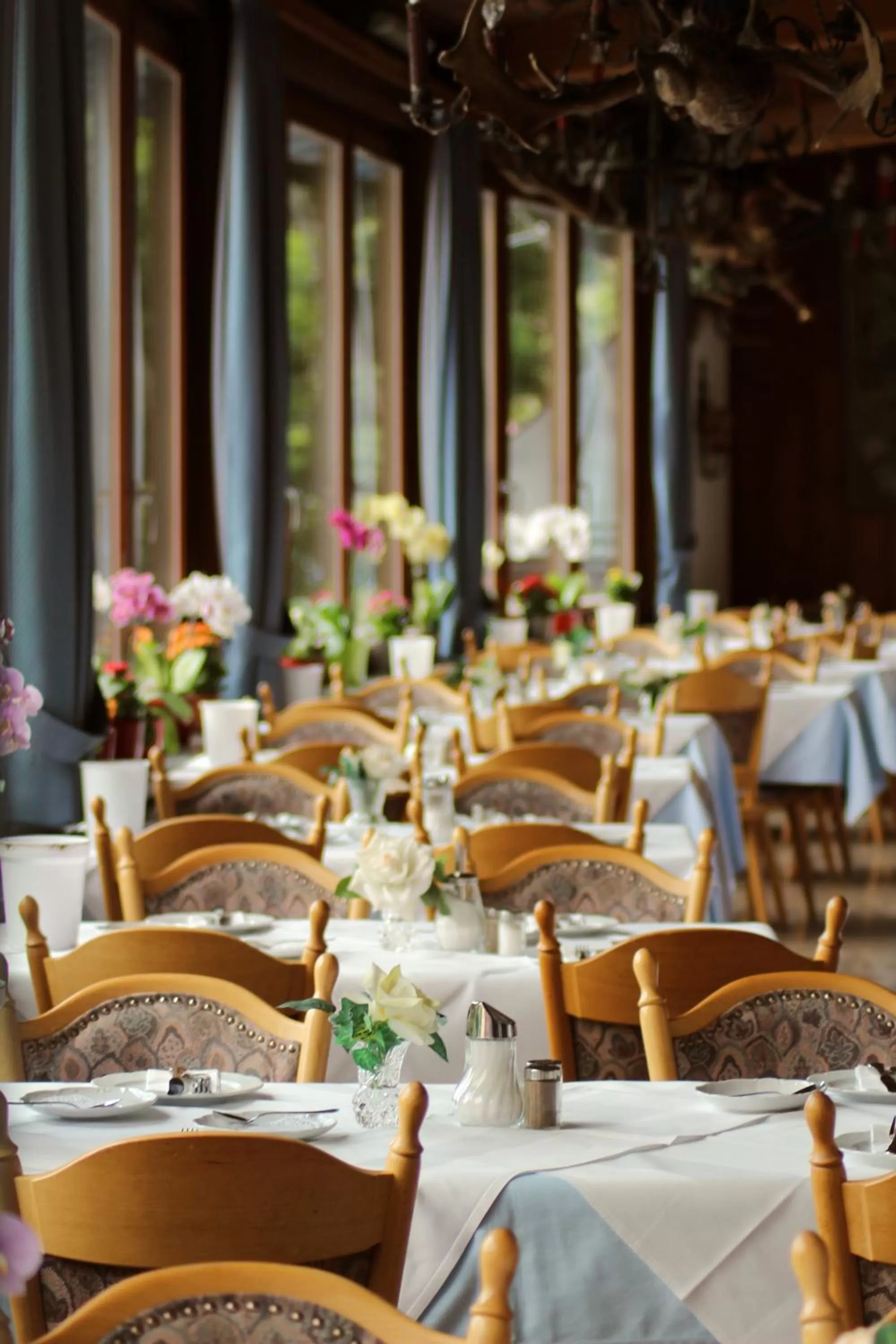 Food and drinks in Hotel Vier Jahreszeiten