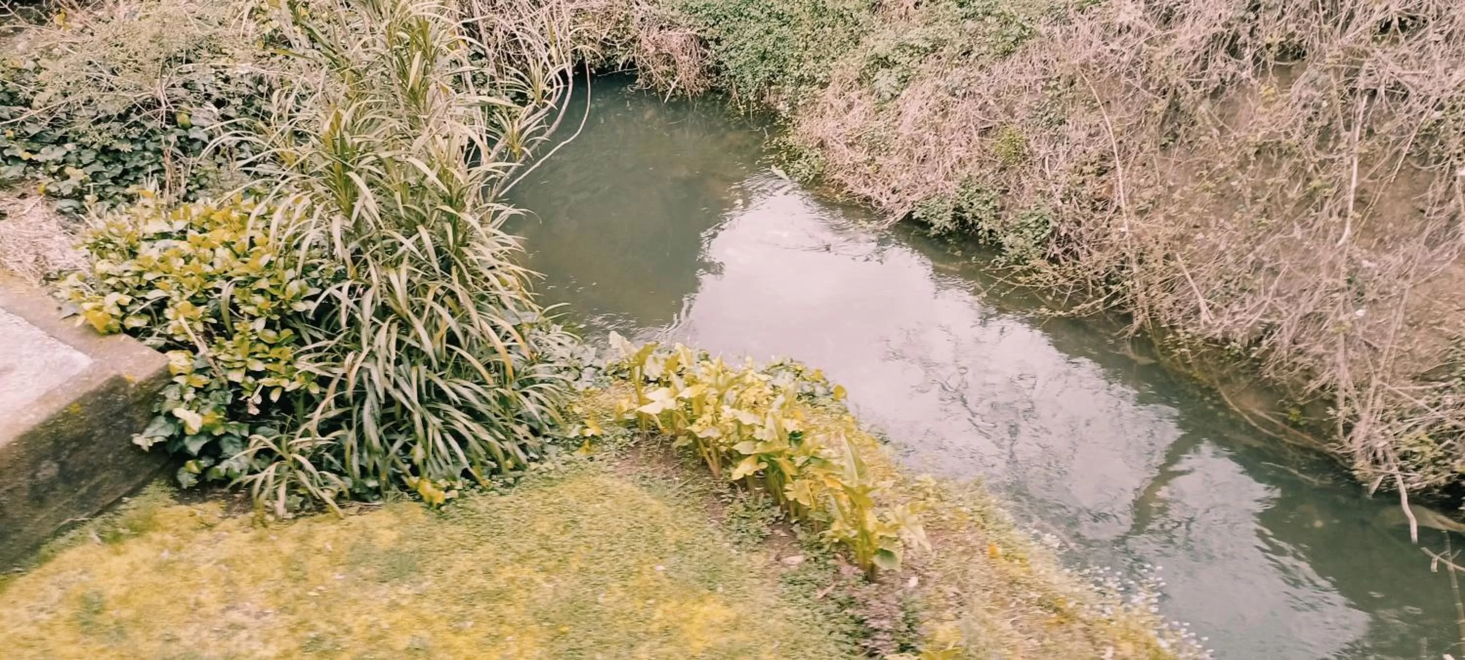 Coffee/tea facilities, Bird's-eye View in Omi Kika B&B