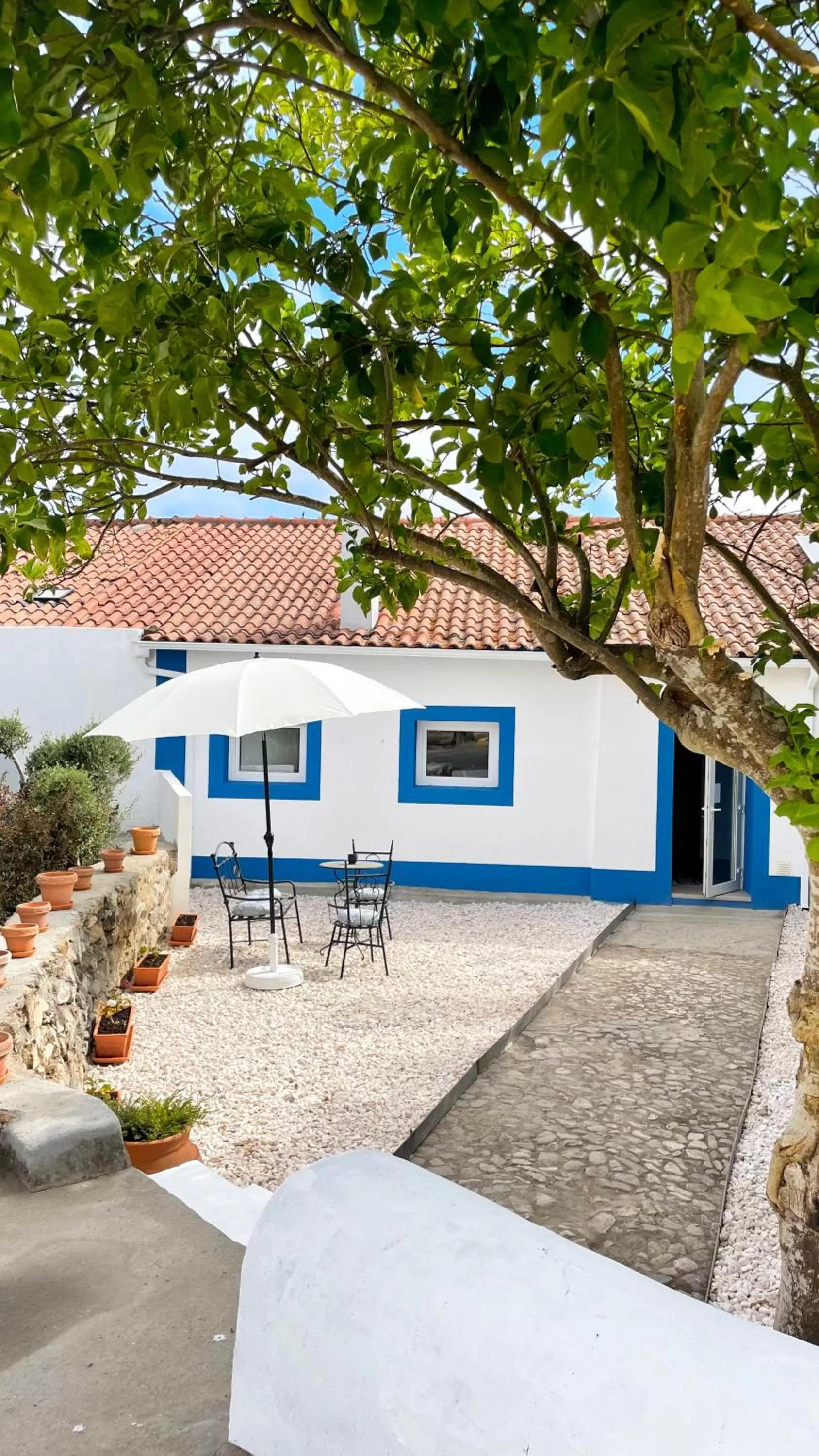 Garden, Property Building in Villa Alter