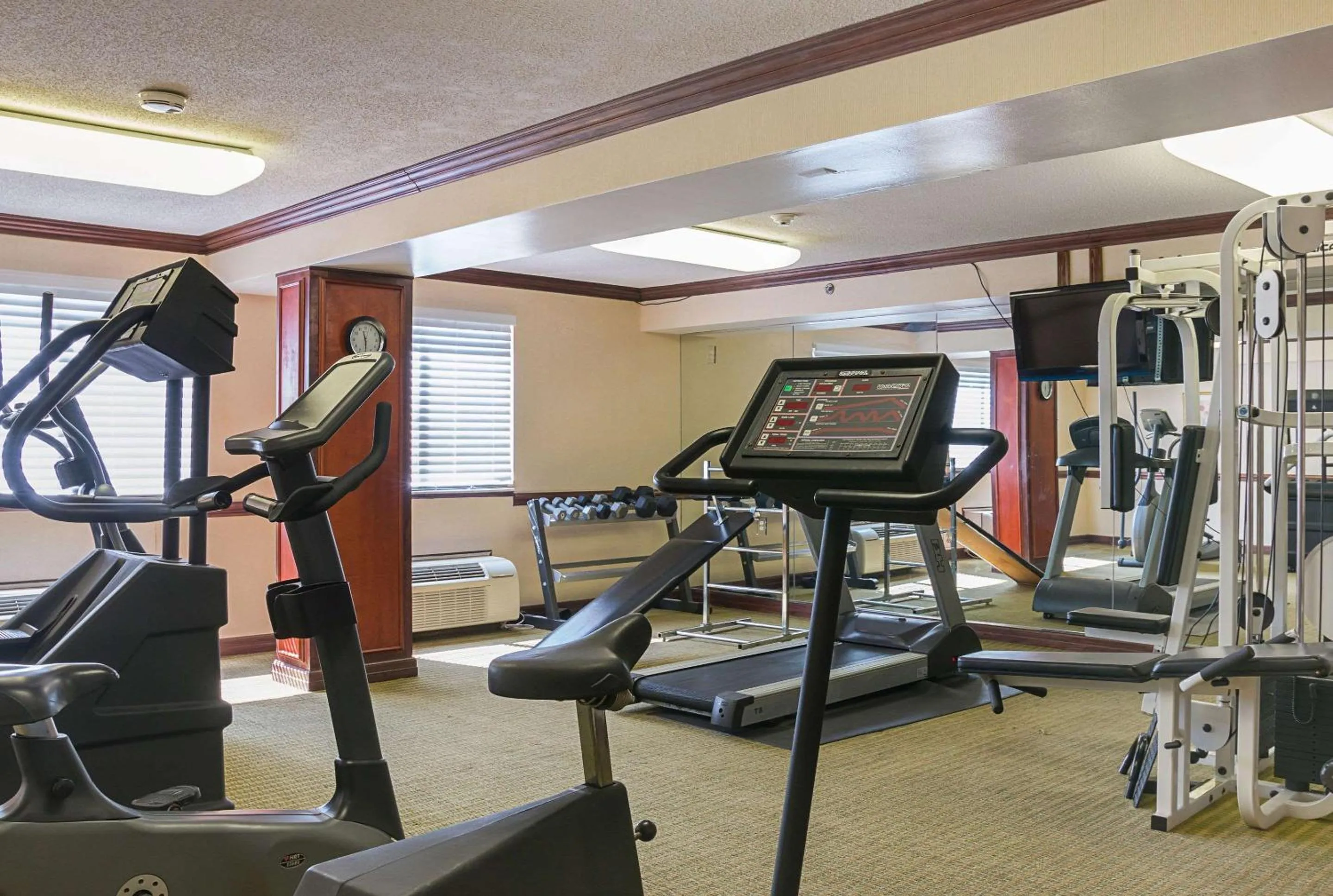 Fitness centre/facilities in Quality Inn & Suites Detroit Metro Airport