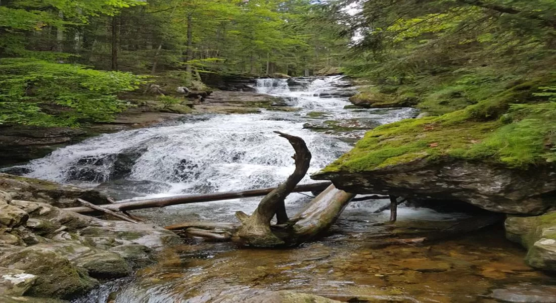 Natural Landscape in Hotel Sonnleitn