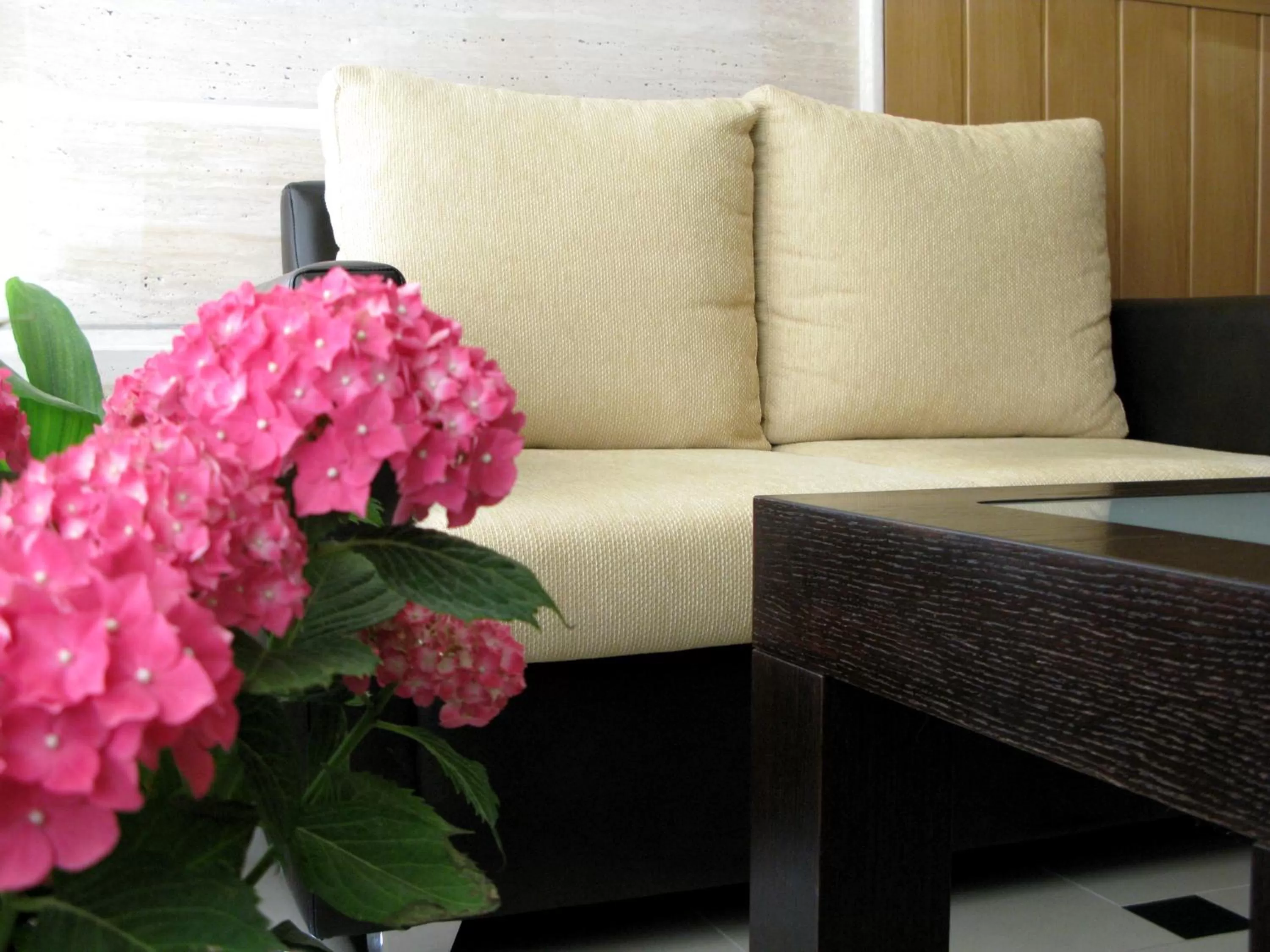 Lounge or bar in Bristol Hotel Tirana