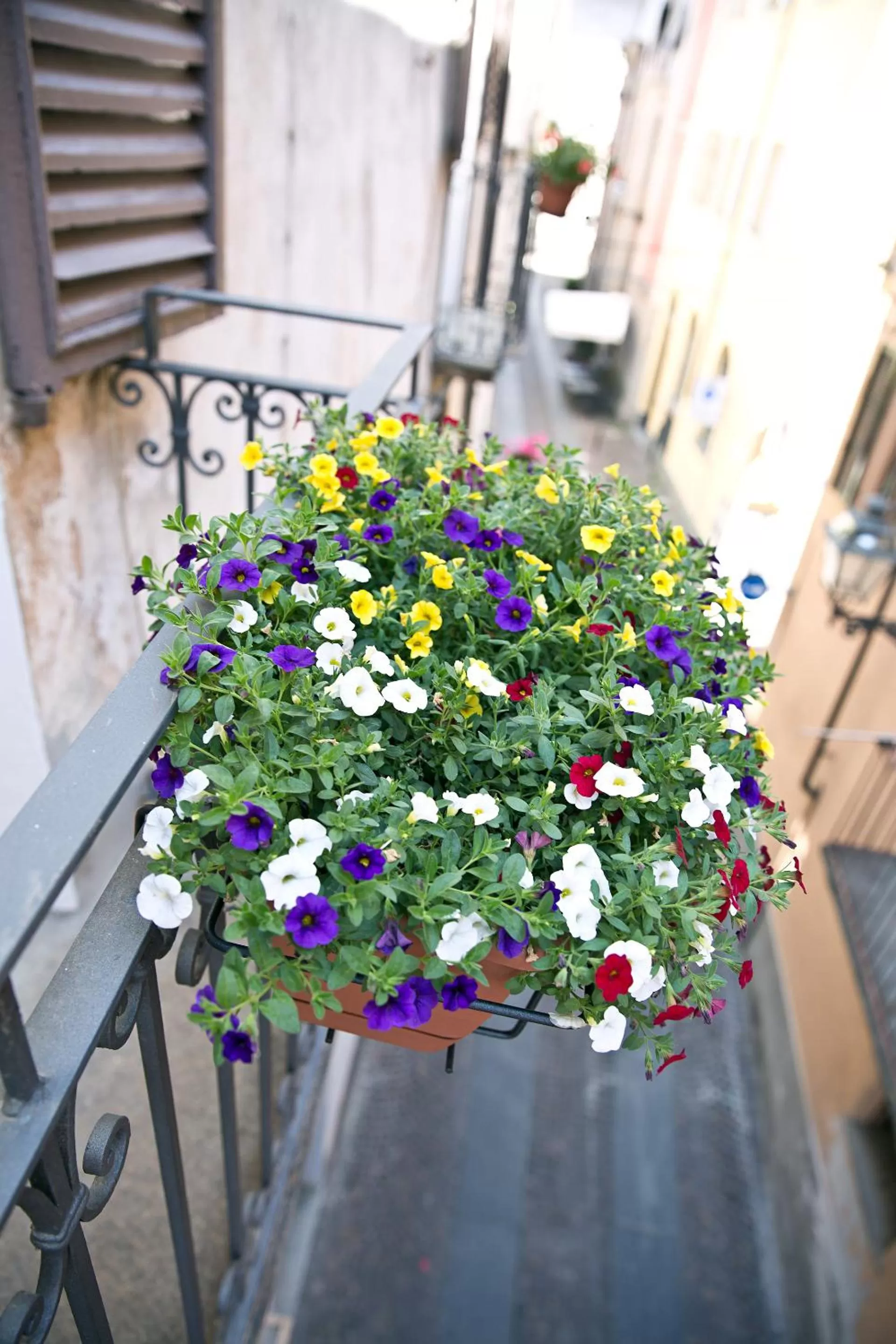 Decorative detail in Osteria Senza Fretta Rooms for Rent