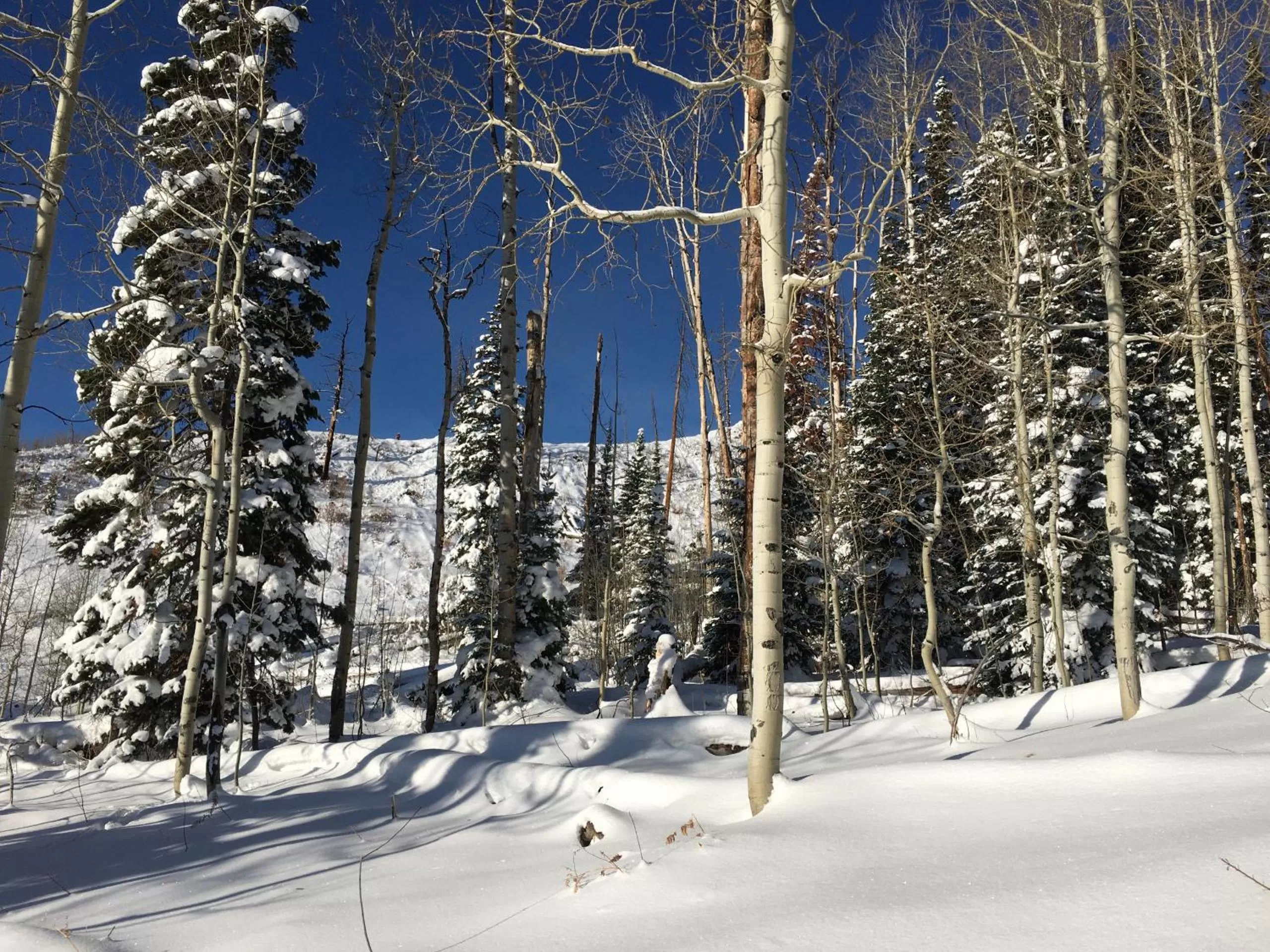 Other in The Viking Lodge - Downtown Winter Park Colorado
