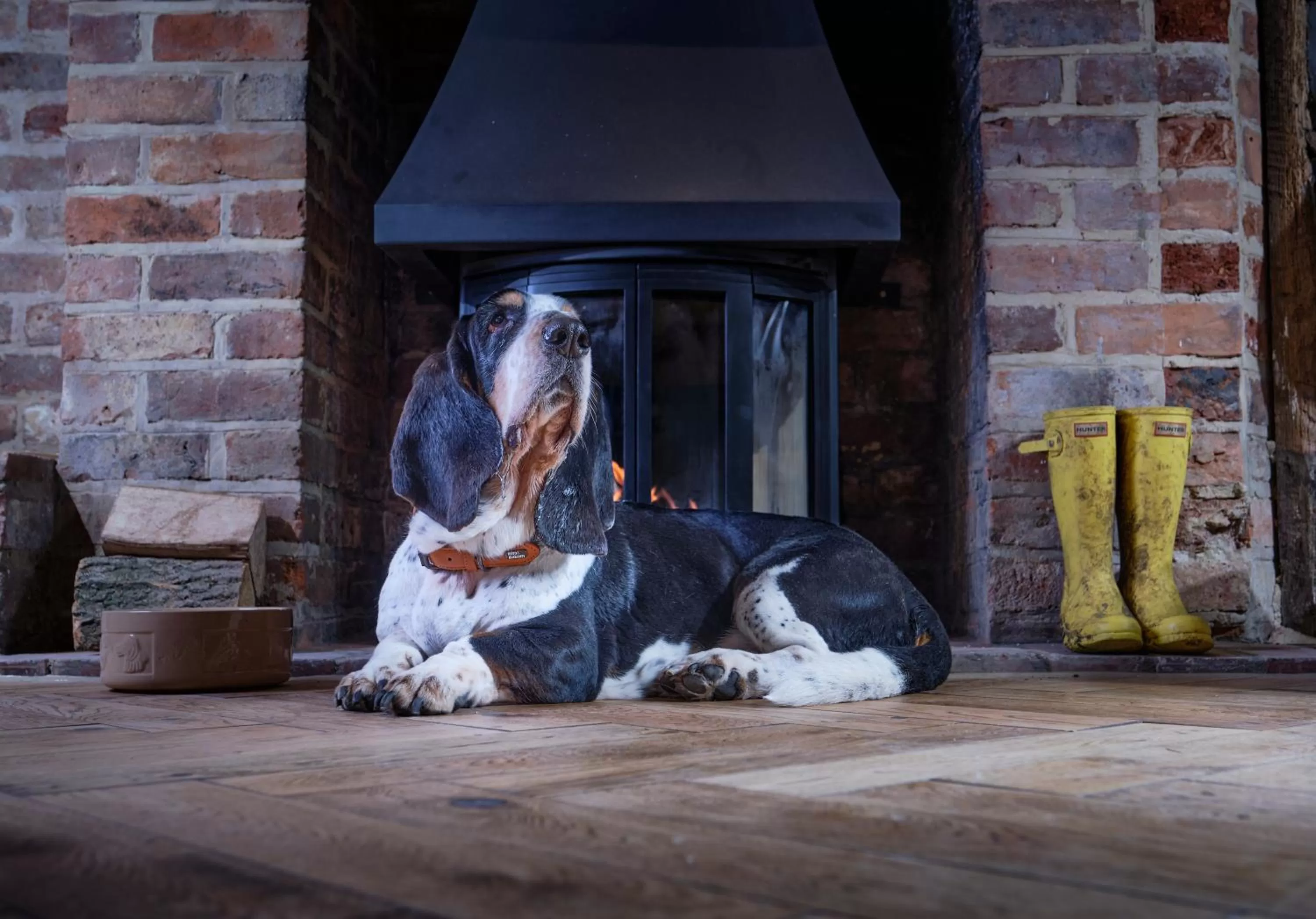 Pets in The Crown Inn