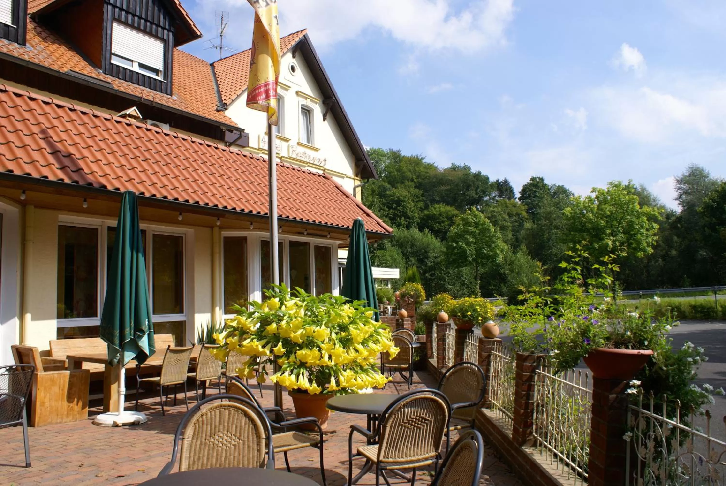 Balcony/Terrace in Hotel Elfenberg