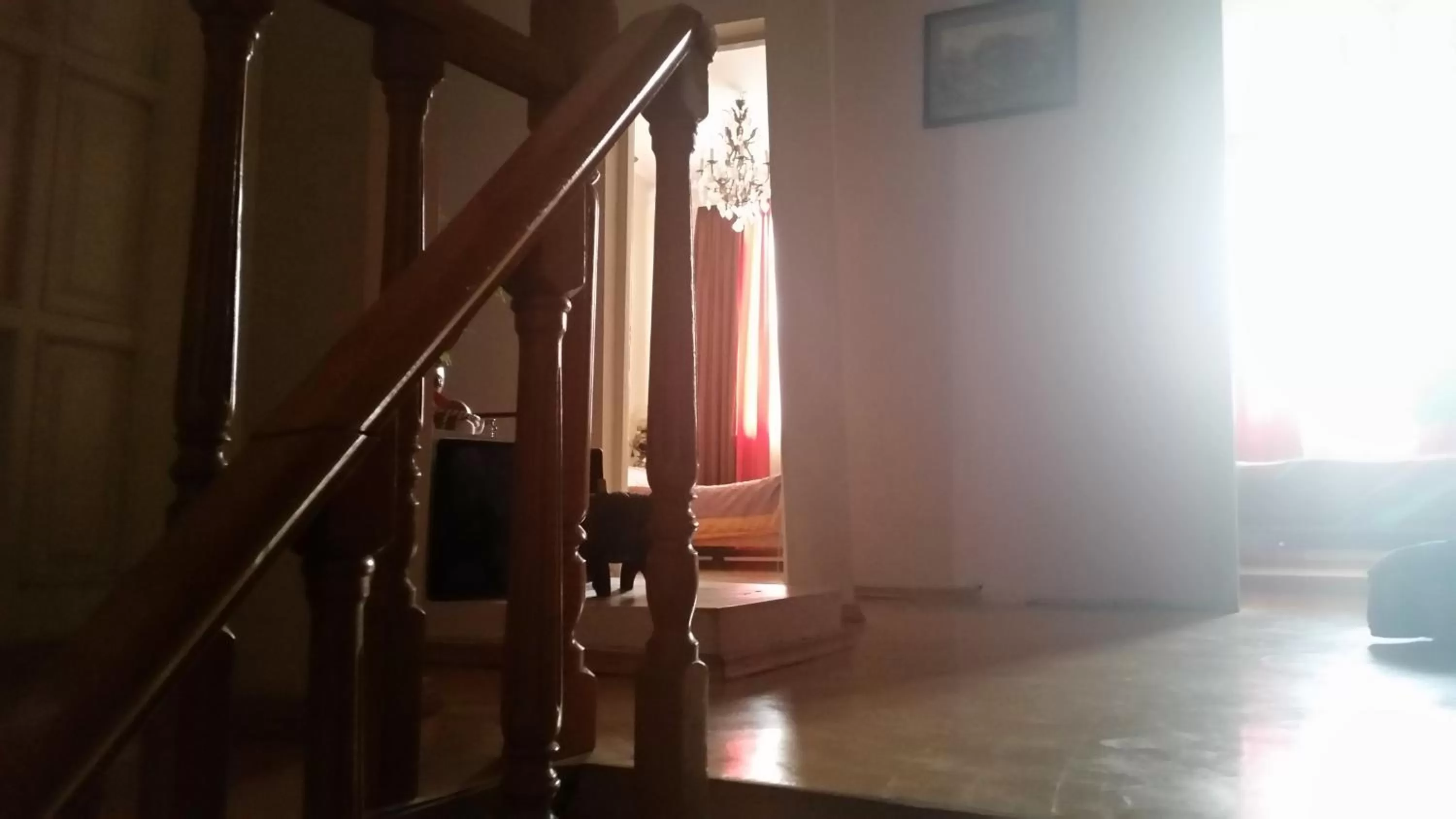 Decorative detail in Hotel MMG