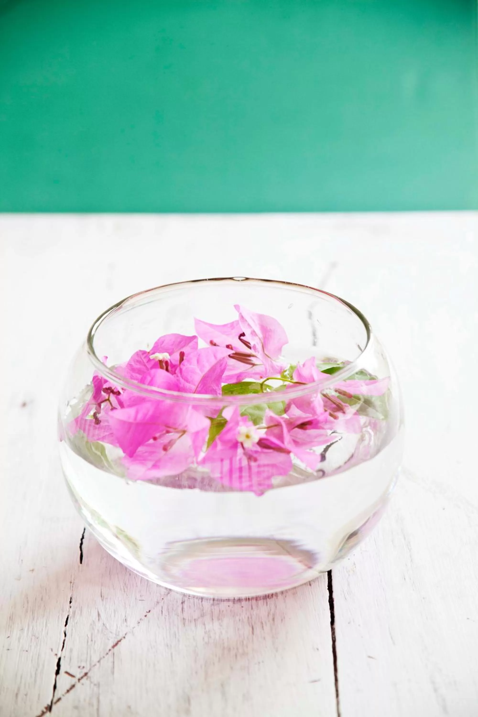 Decorative detail in The Beach House