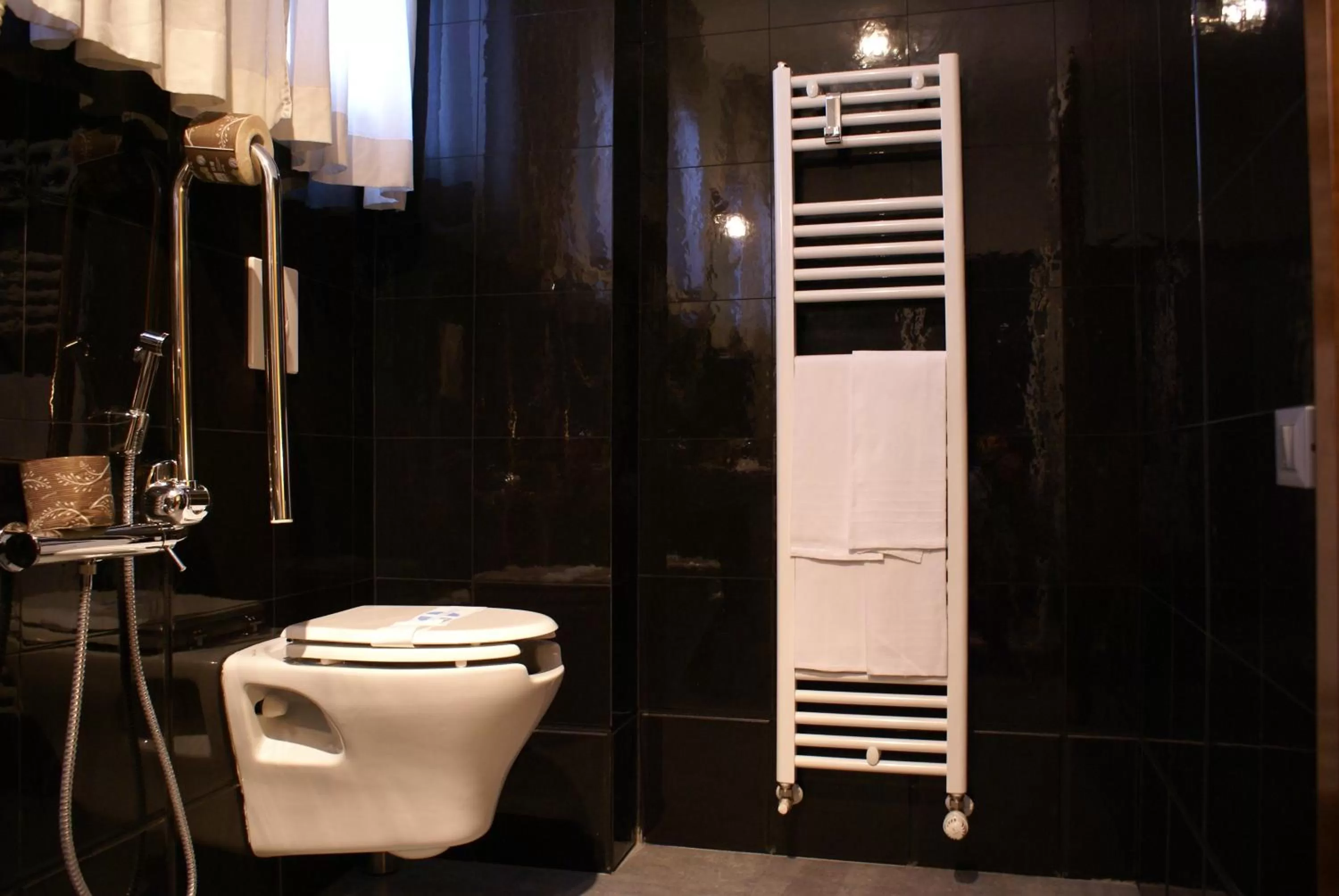 Shower in Hotel Carlton