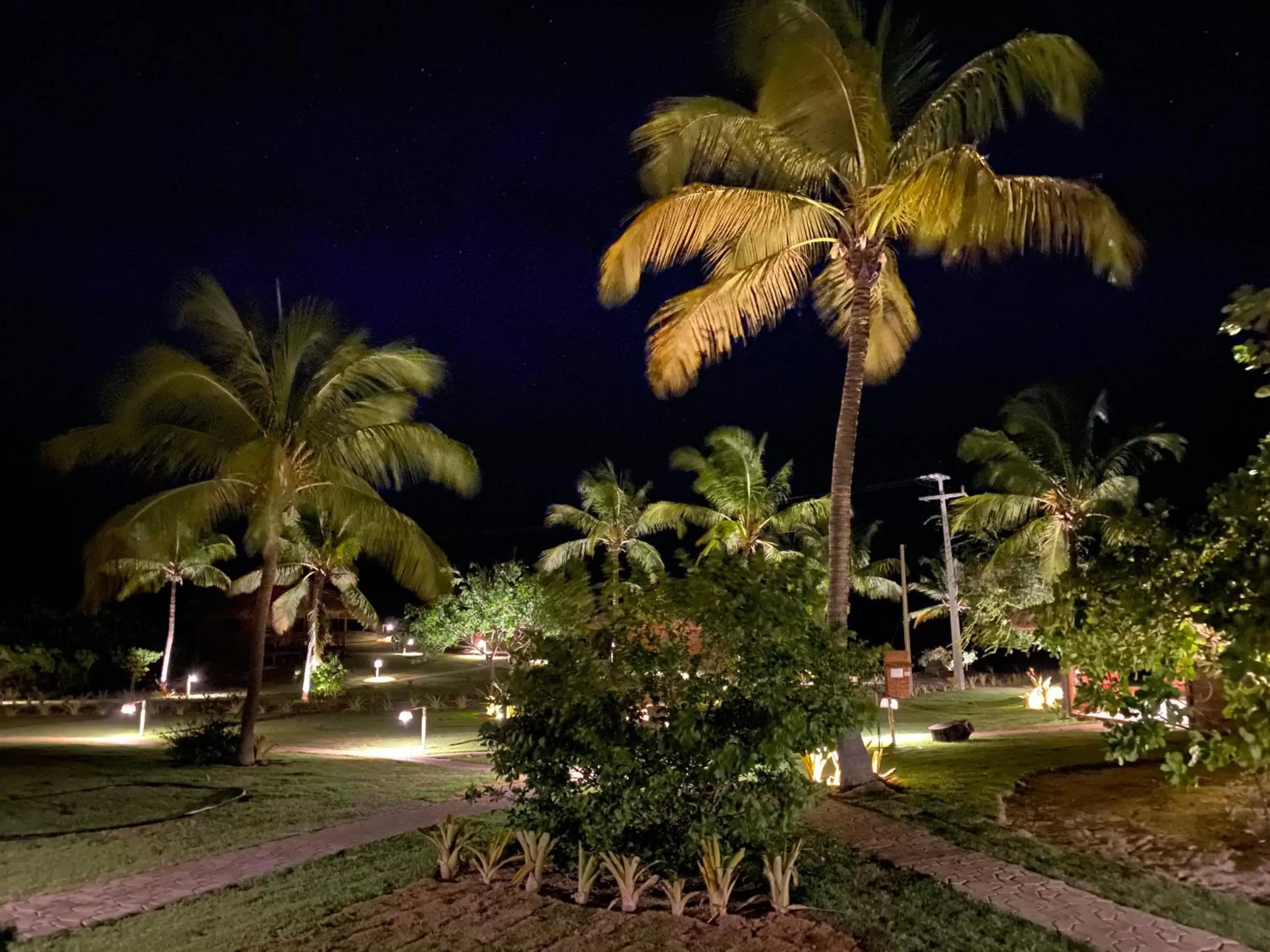 Garden in Kauli Seadi Beach Hotel