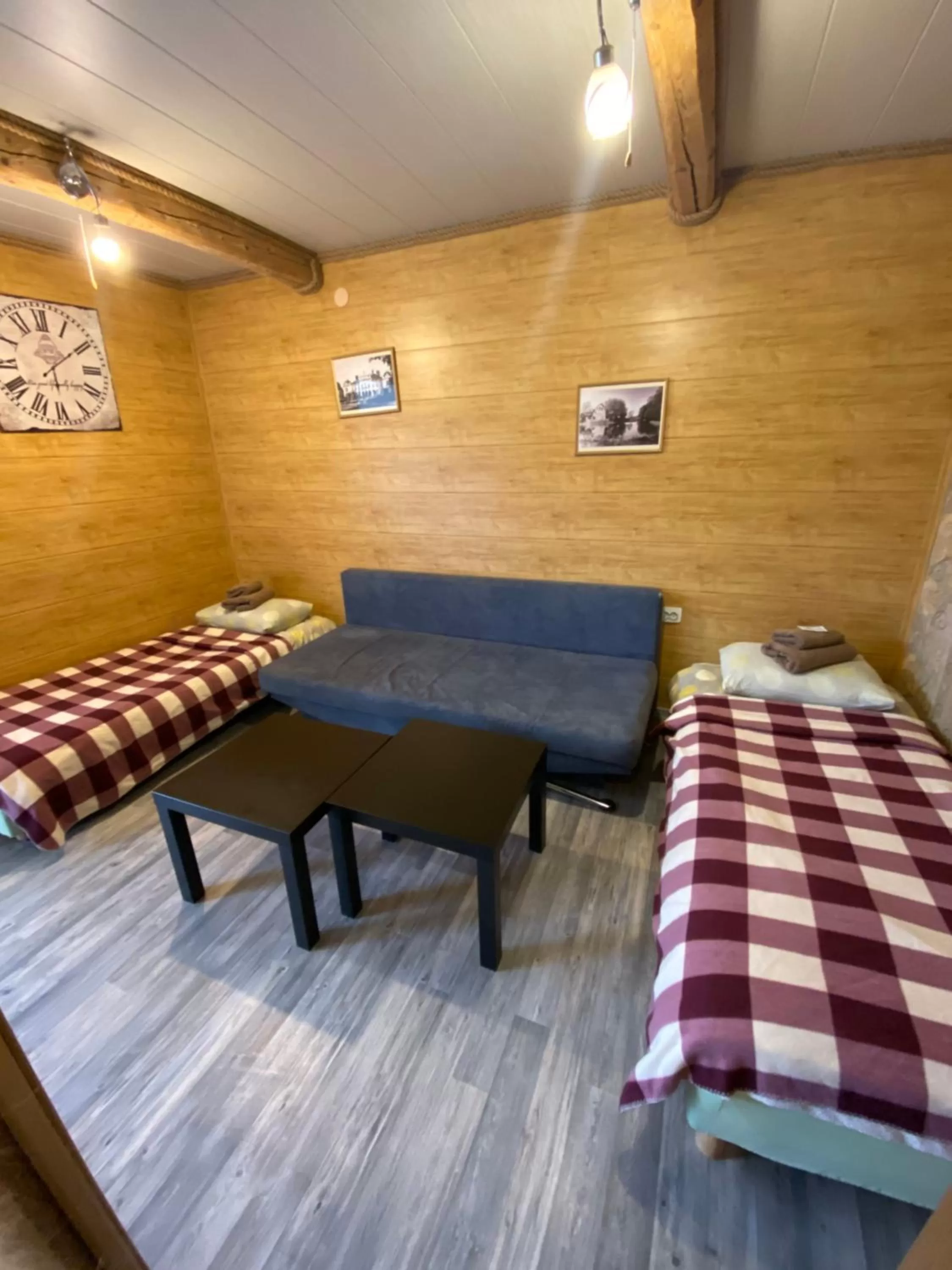 Living room, Bed in Nakvynė Rokiškyje