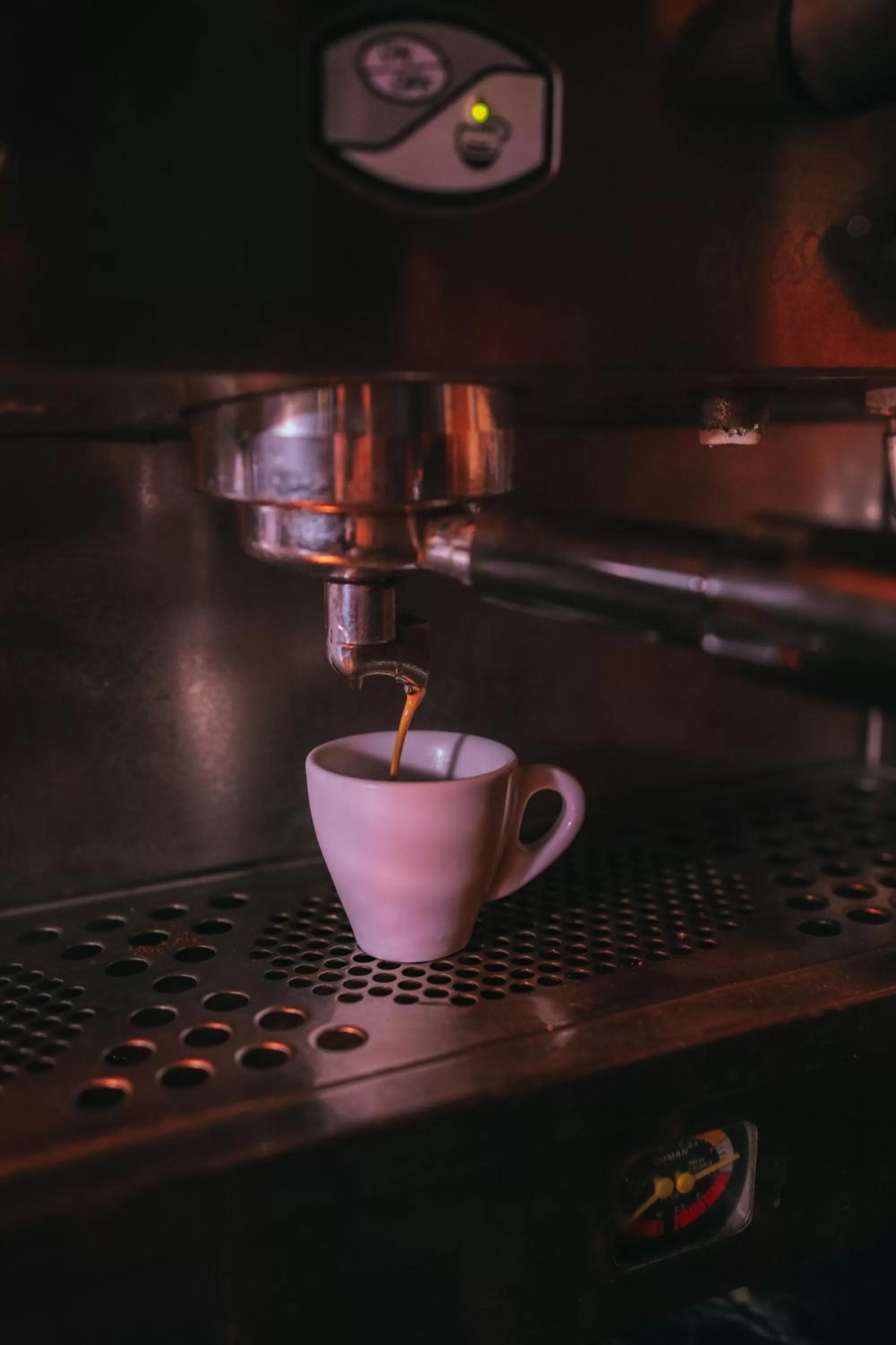 Lounge or bar, Kitchen/Kitchenette in Aracan Portsaid