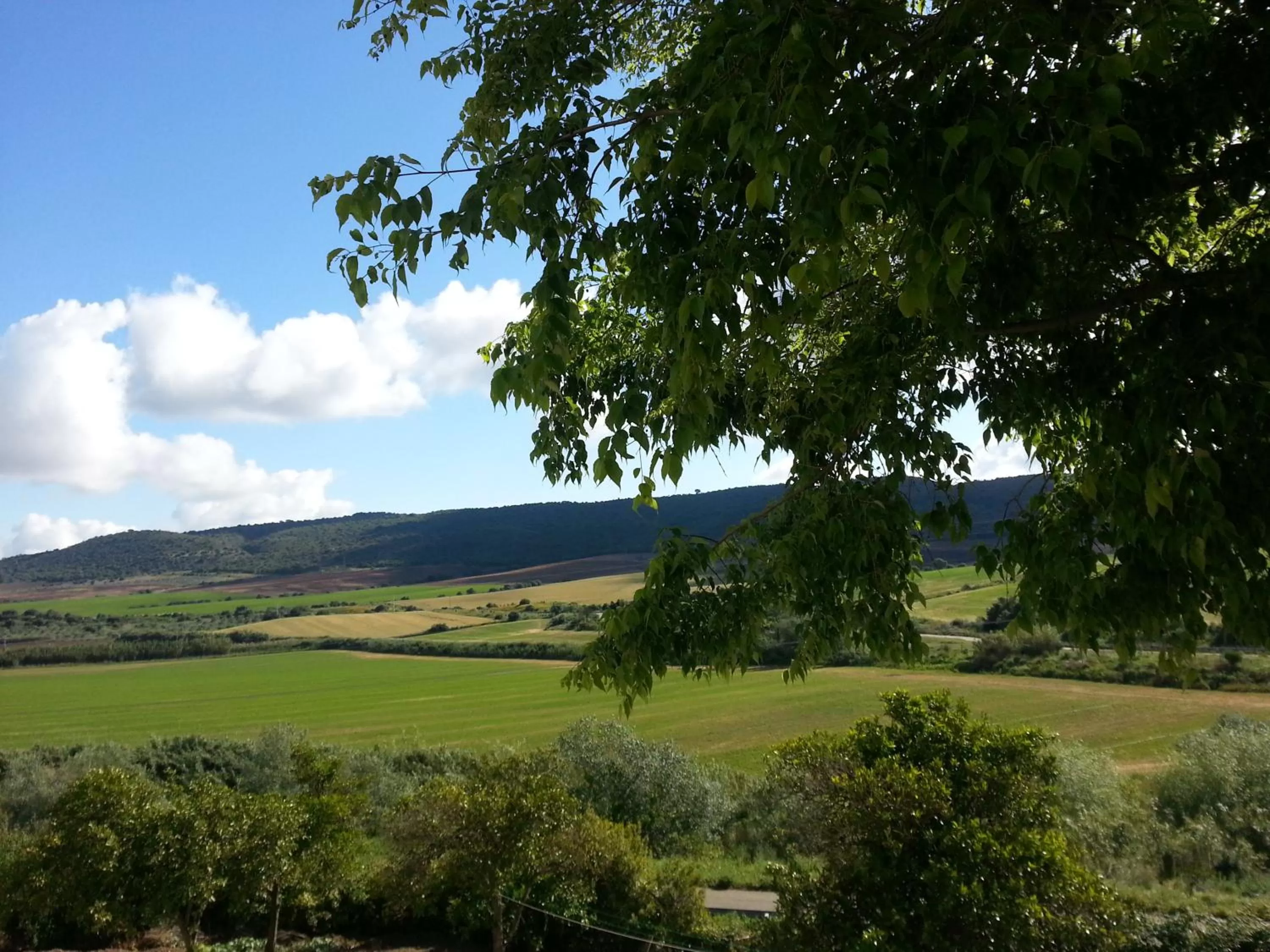 Garden in Hacienda El Santiscal