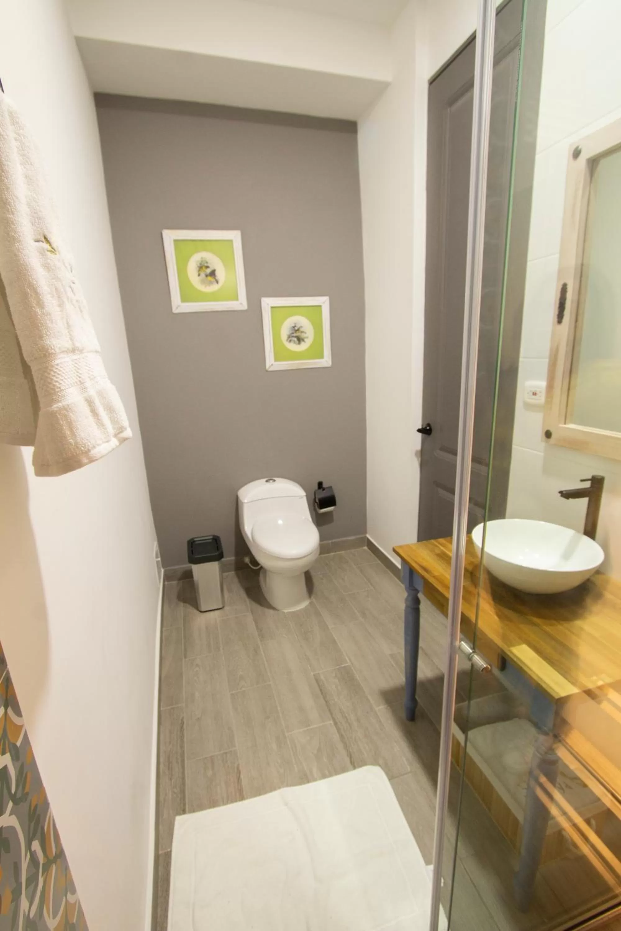 Toilet, Bathroom in Hotel Pajara Pinta