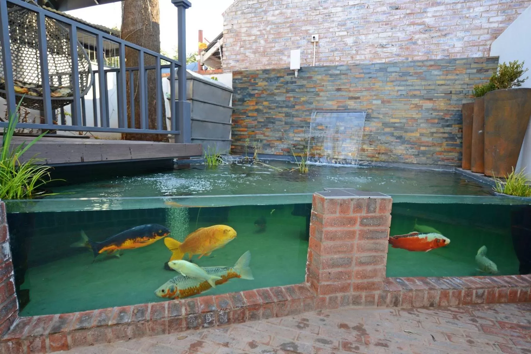 Garden in Milner House Kimberley