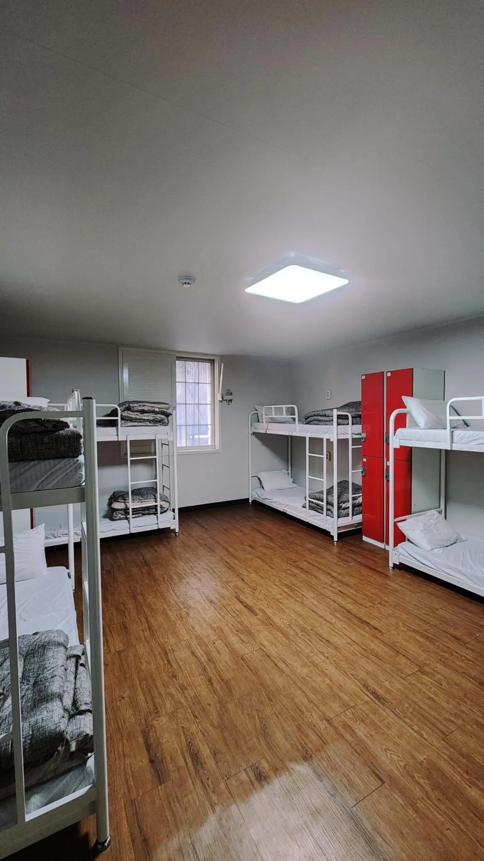 bunk bed, Bed in Kimchee Busan Downtown Guesthouse