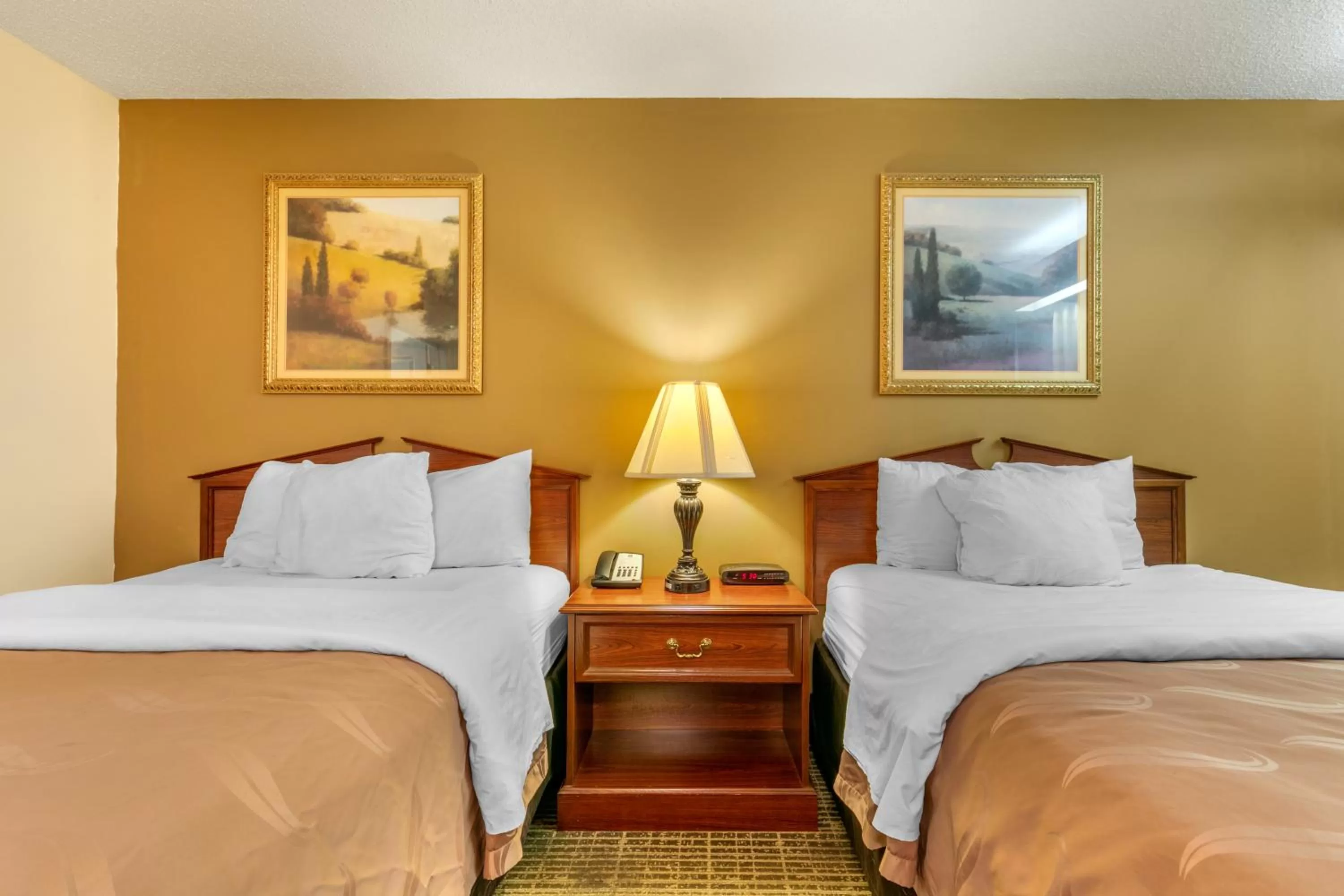 Bed in Quality Inn Johnson City I-26 exit 17