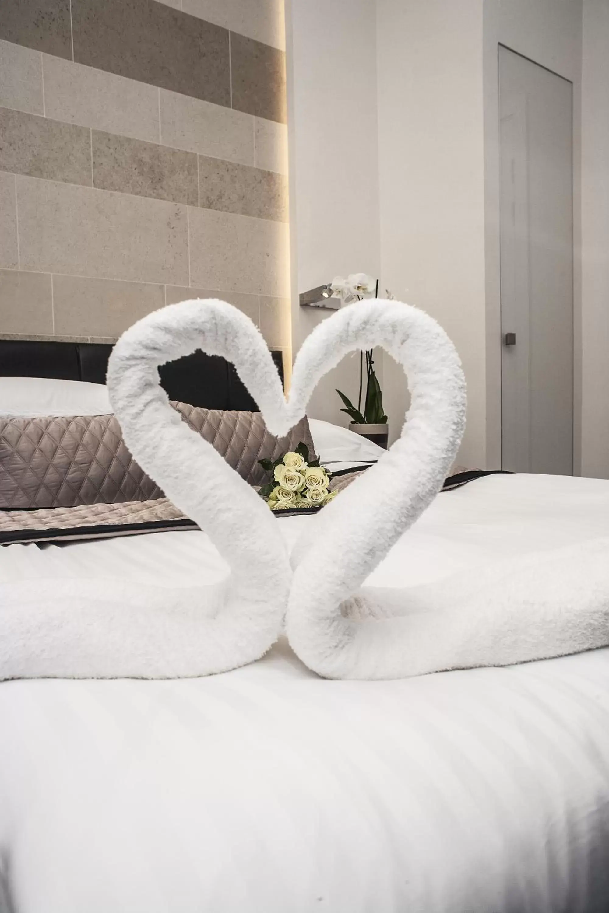 Double Studio in 39 Studios Double Studio in 39 Studios