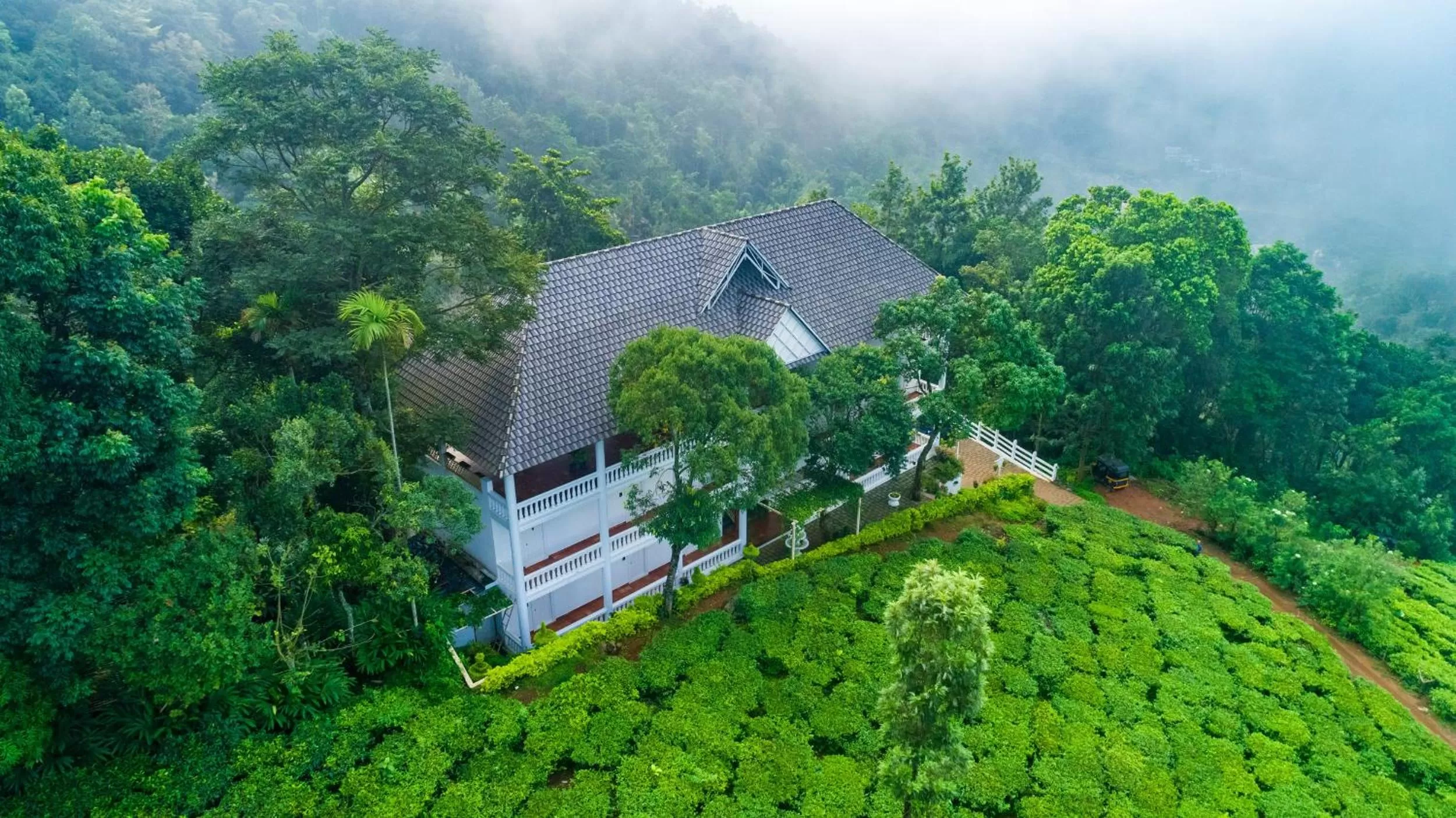 Natural landscape in Tea Harvester