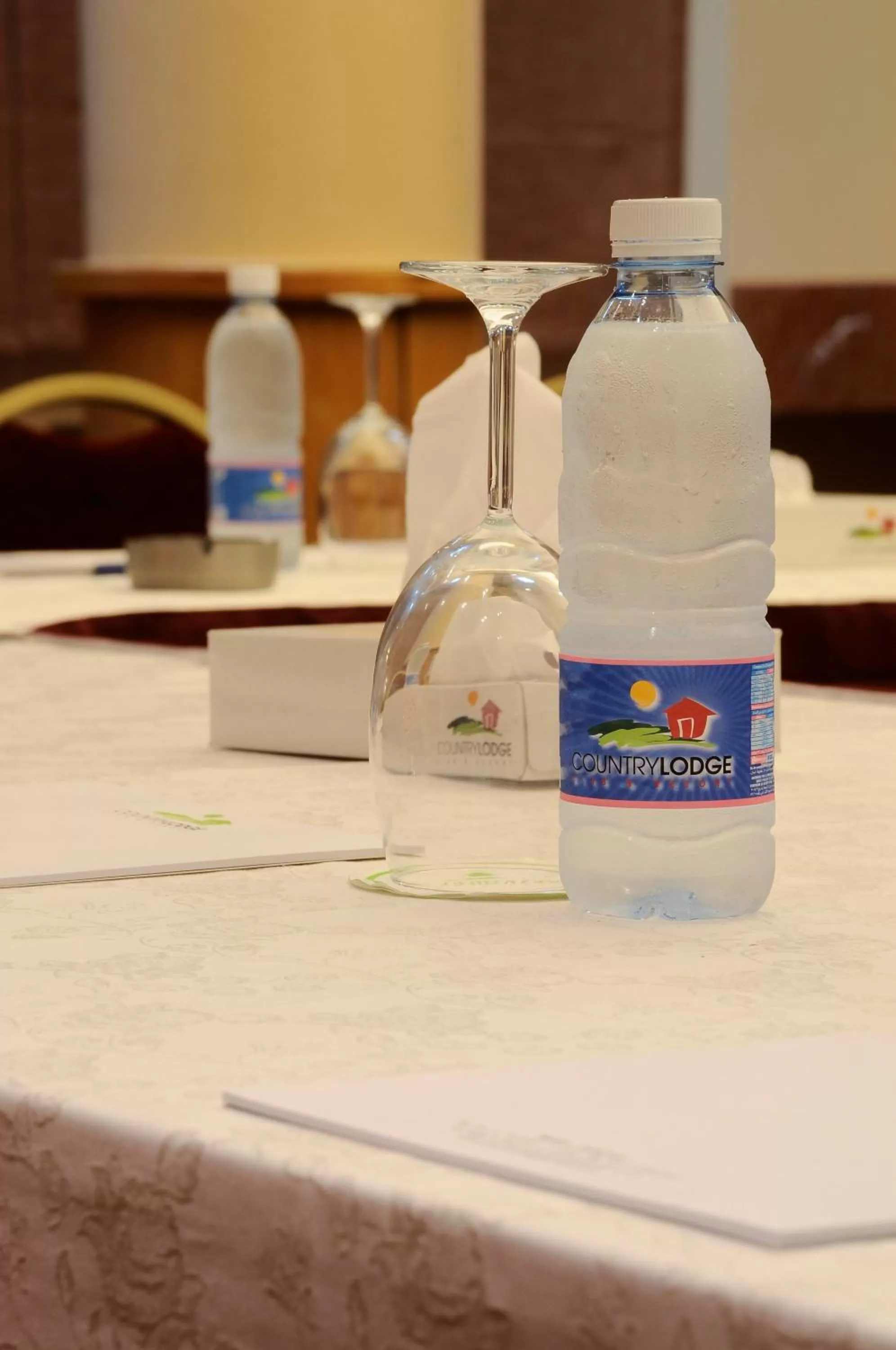 Business facilities in Country Lodge Hotel & Resort Beirut