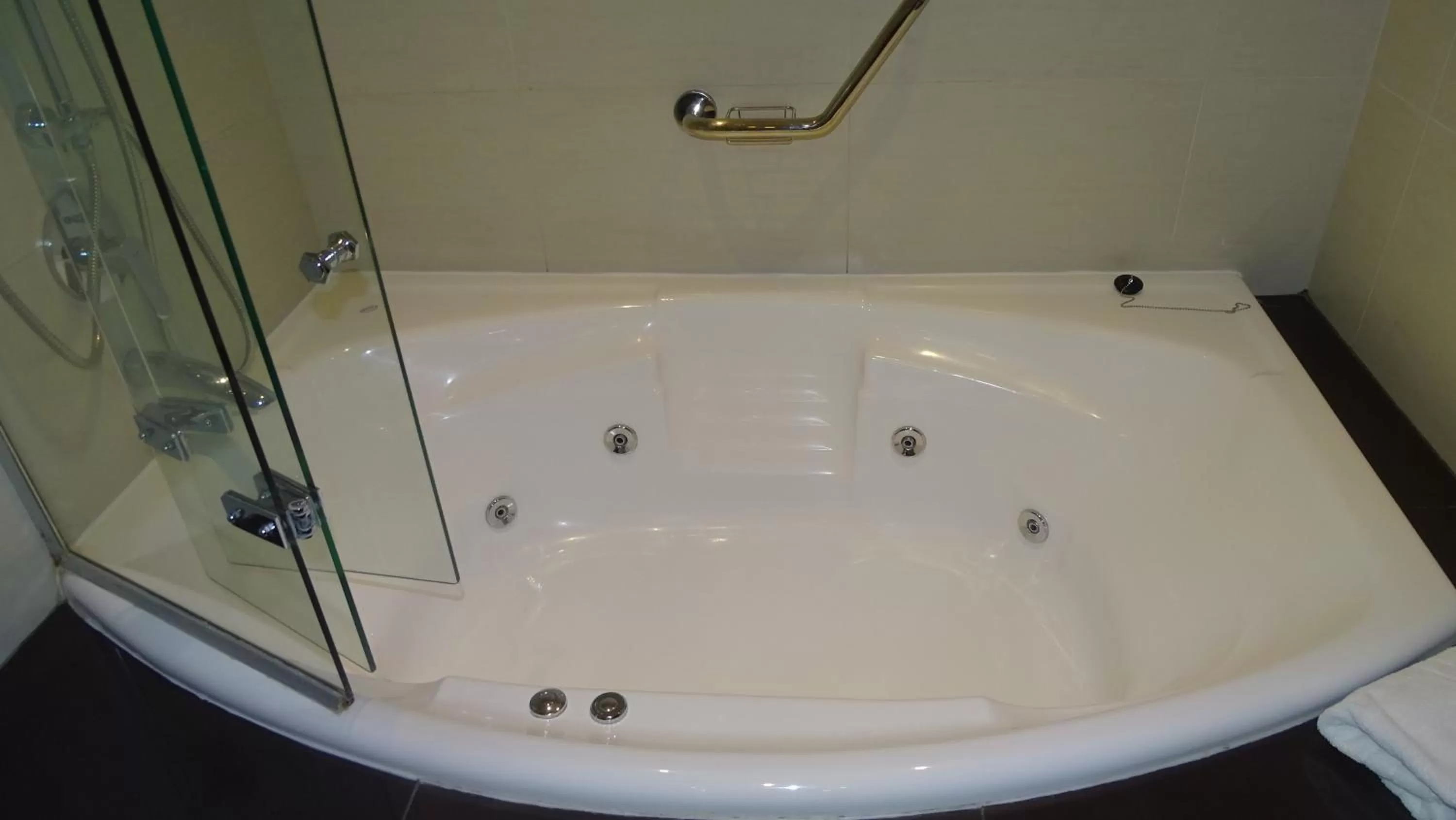 Hot Tub, Bathroom in Hotel Ankara