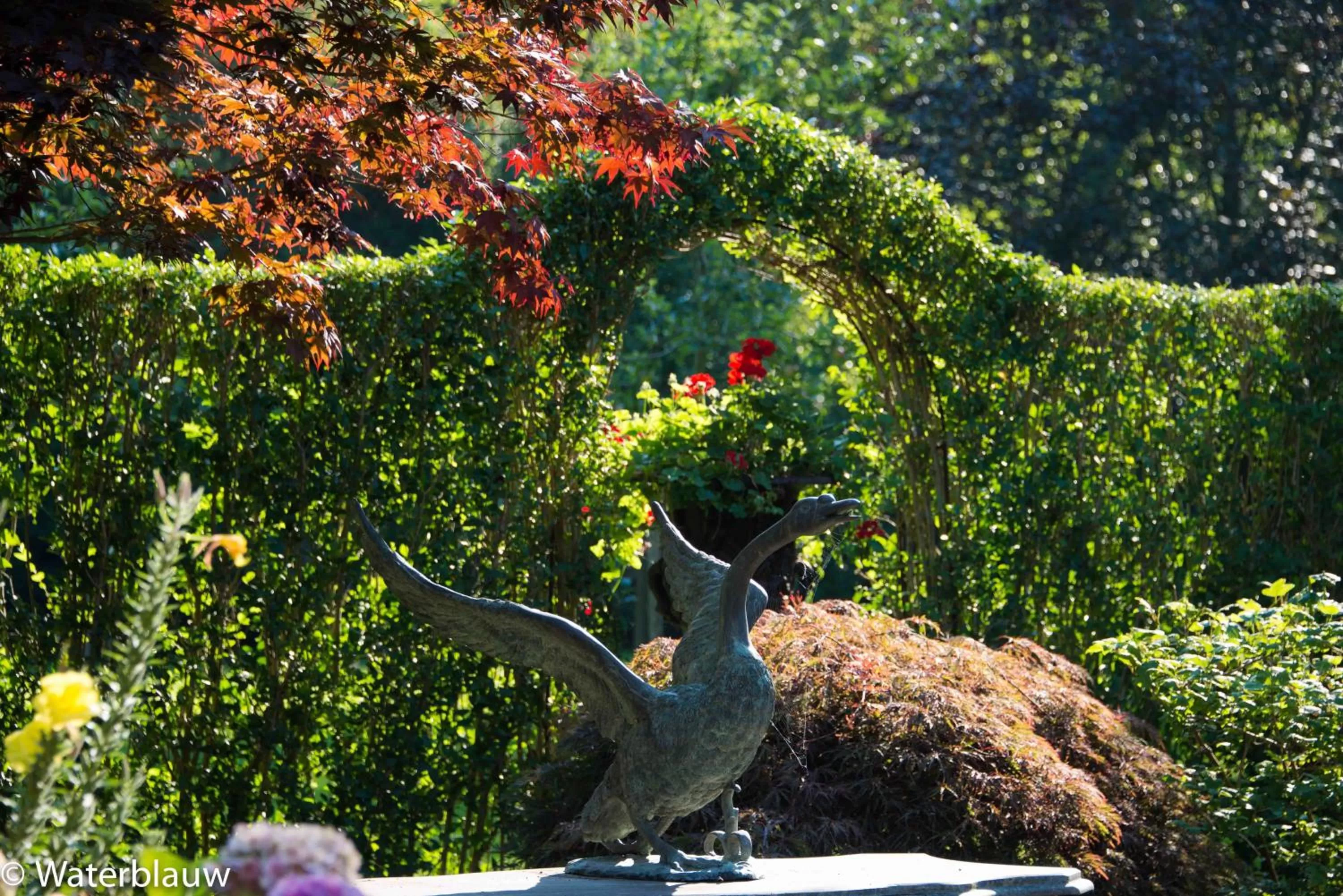 Day in Logement Swaenenvecht