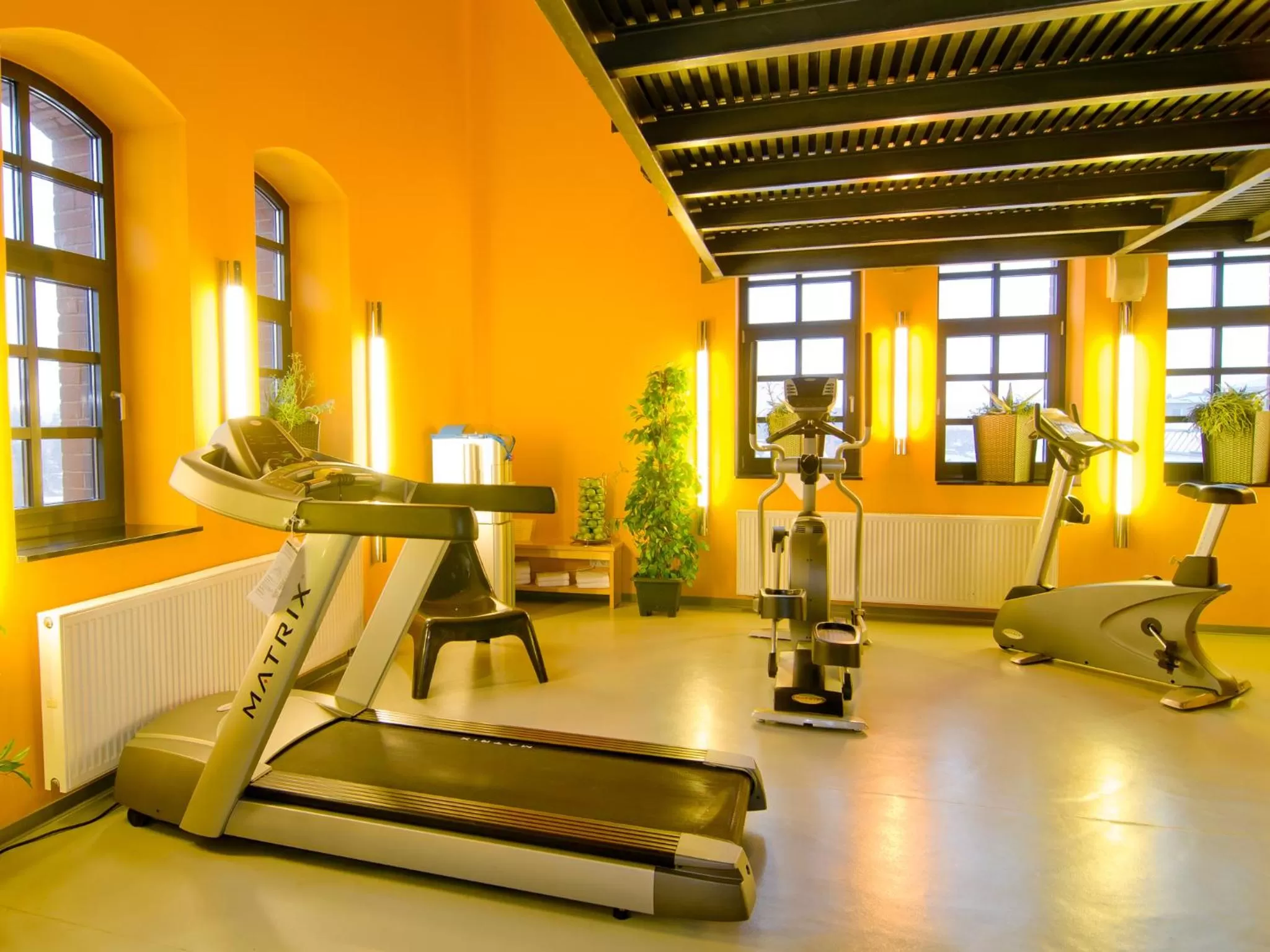 Fitness centre/facilities in Offenbach Plaza Hotel