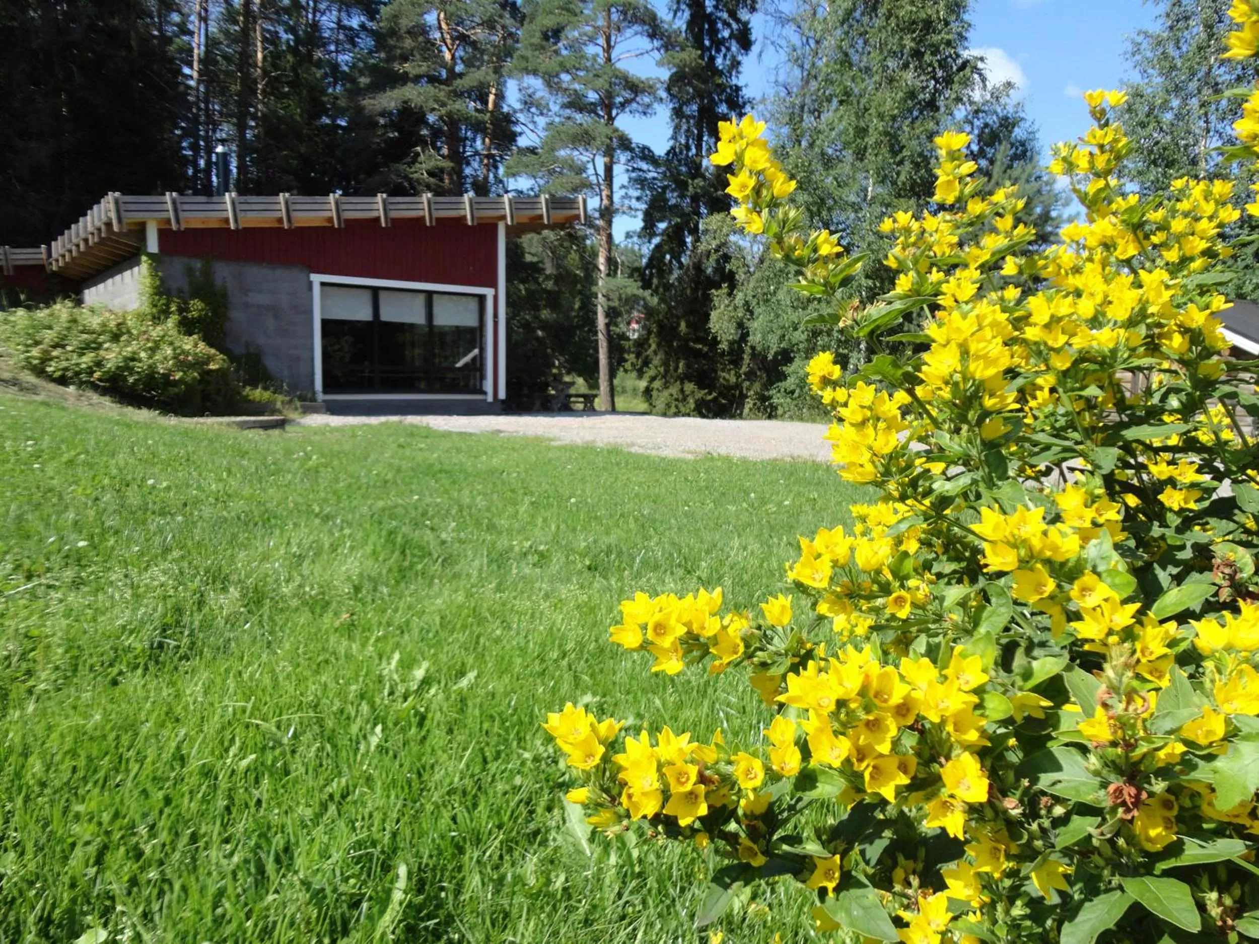 Hot Spring Bath, Garden in Varjola Holiday Center