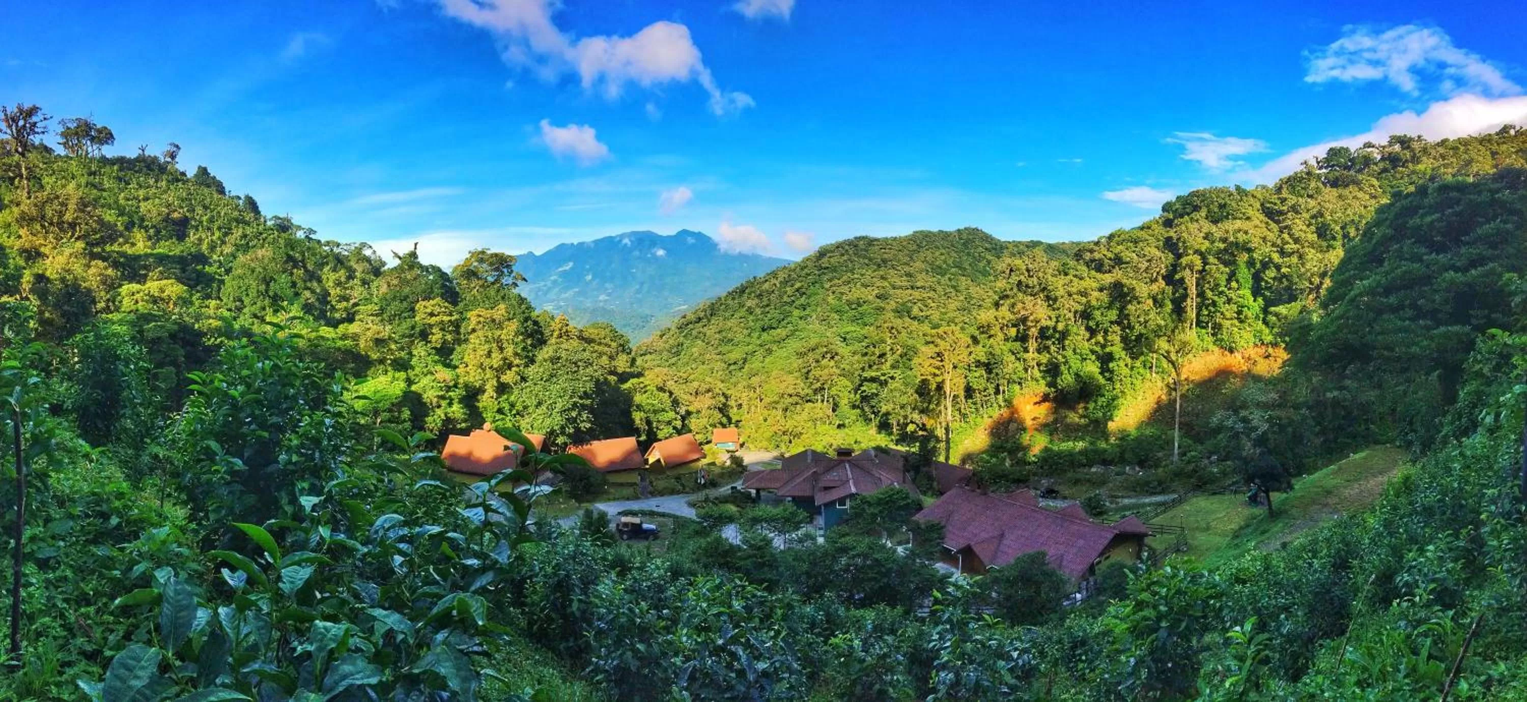 Natural landscape in TREE TREK BOQUETE Adventure Park