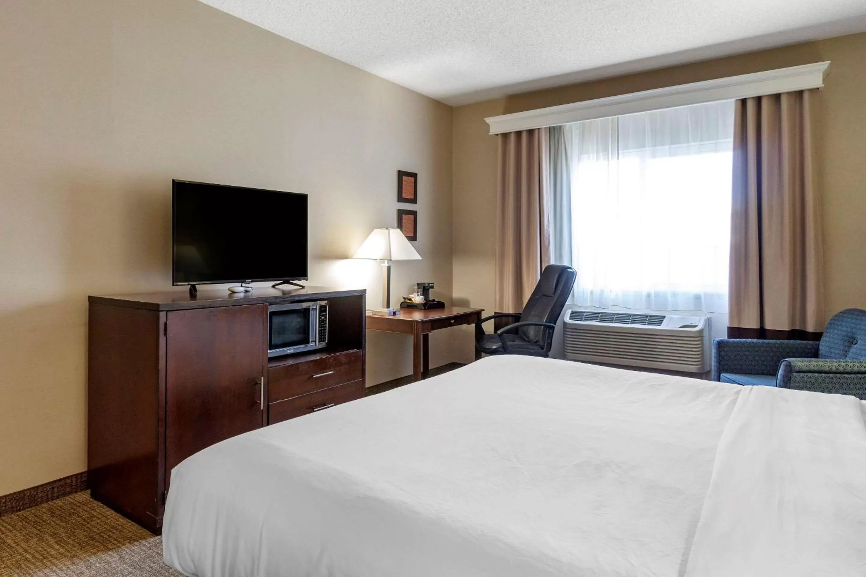 Photo of the whole room, Bed in Comfort Inn & Suites Seattle North