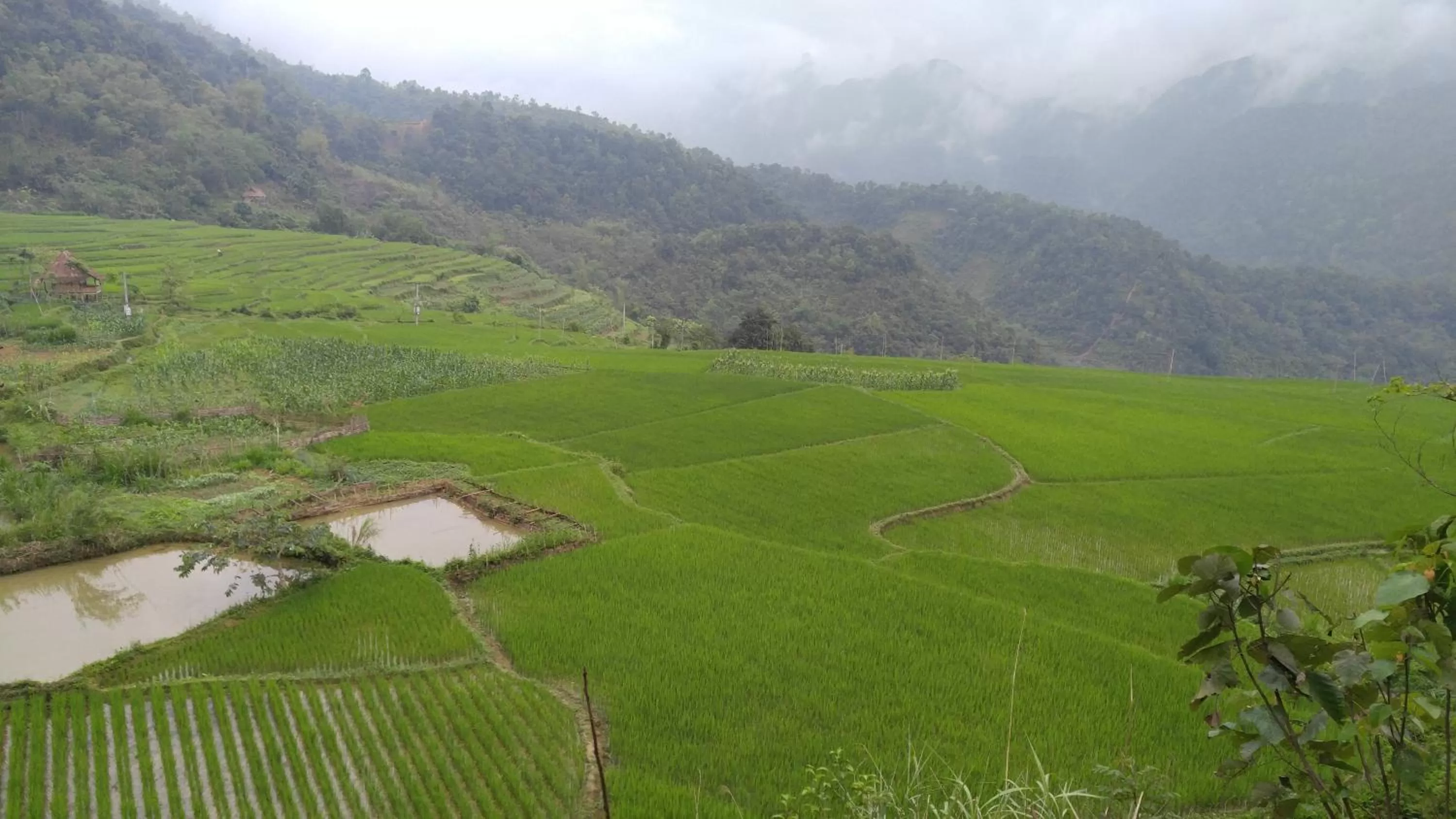 Activities in Friendly Home Hotel