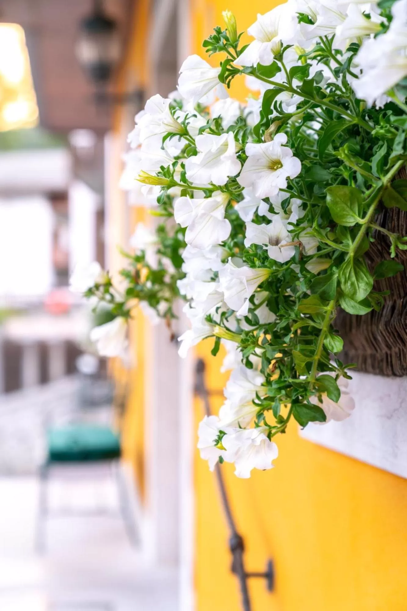 Property building in Ambra Cortina Luxury&Fashion Hotel