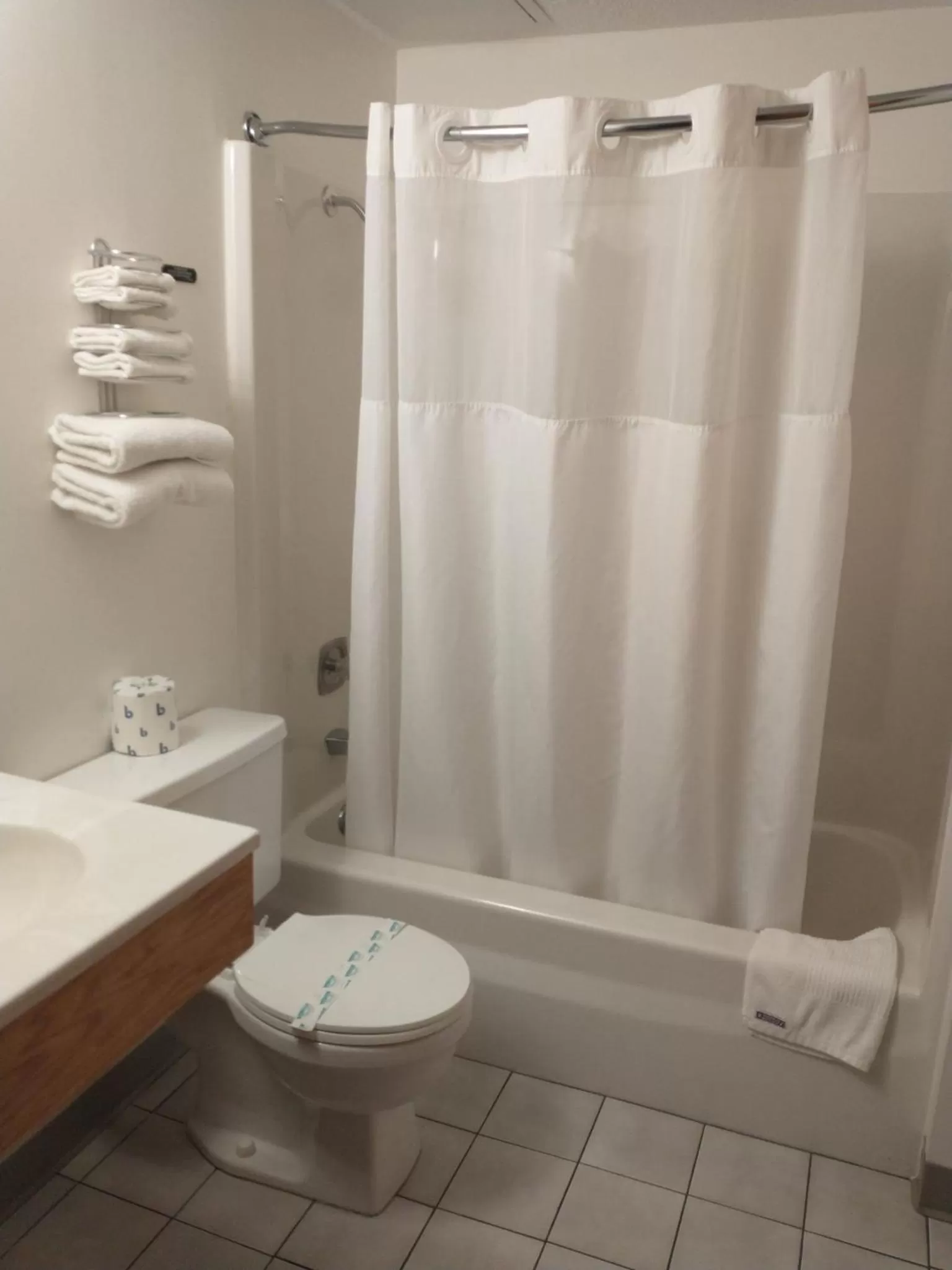 Bathroom in Sauk River Inn & Suites, a Travelodge by Wyndham