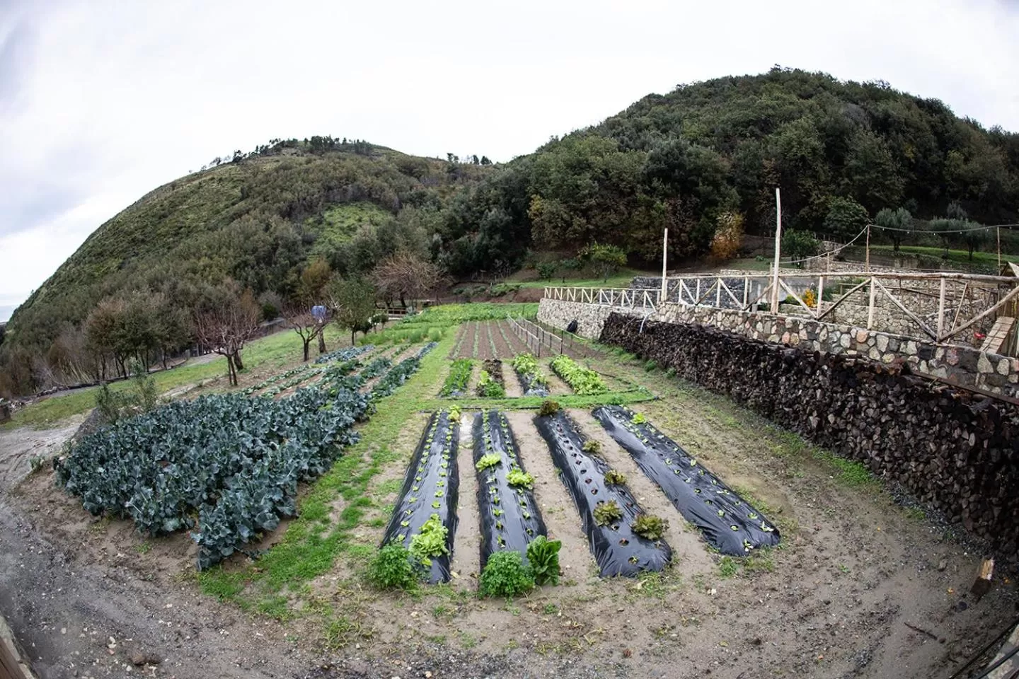 Natural landscape in Borgo Rosso di Sera - Resort Country Chic