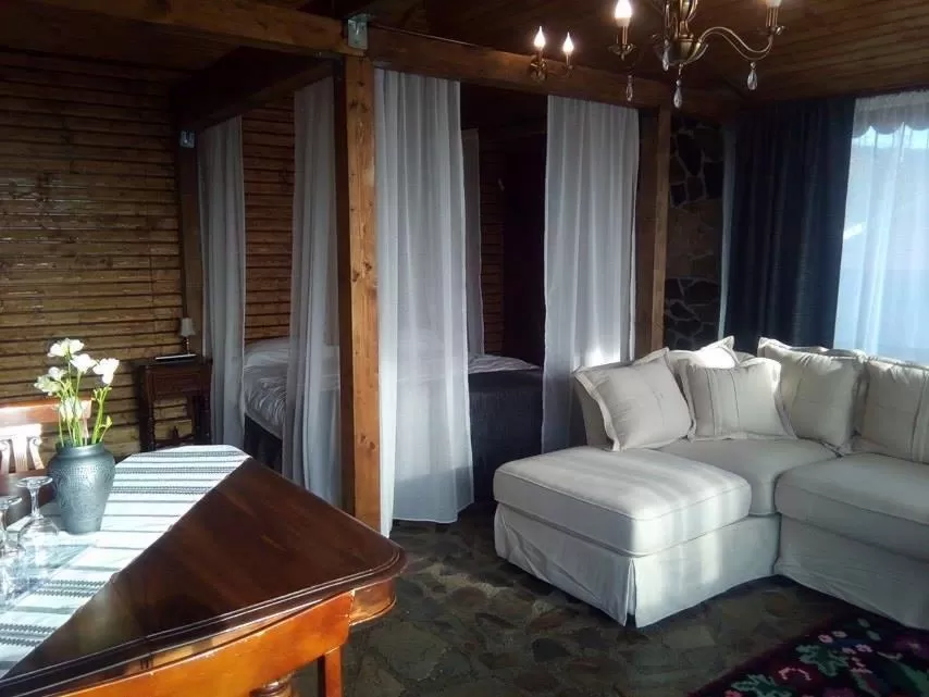 Living room, Seating Area in Pensiunea Taverna Bucium