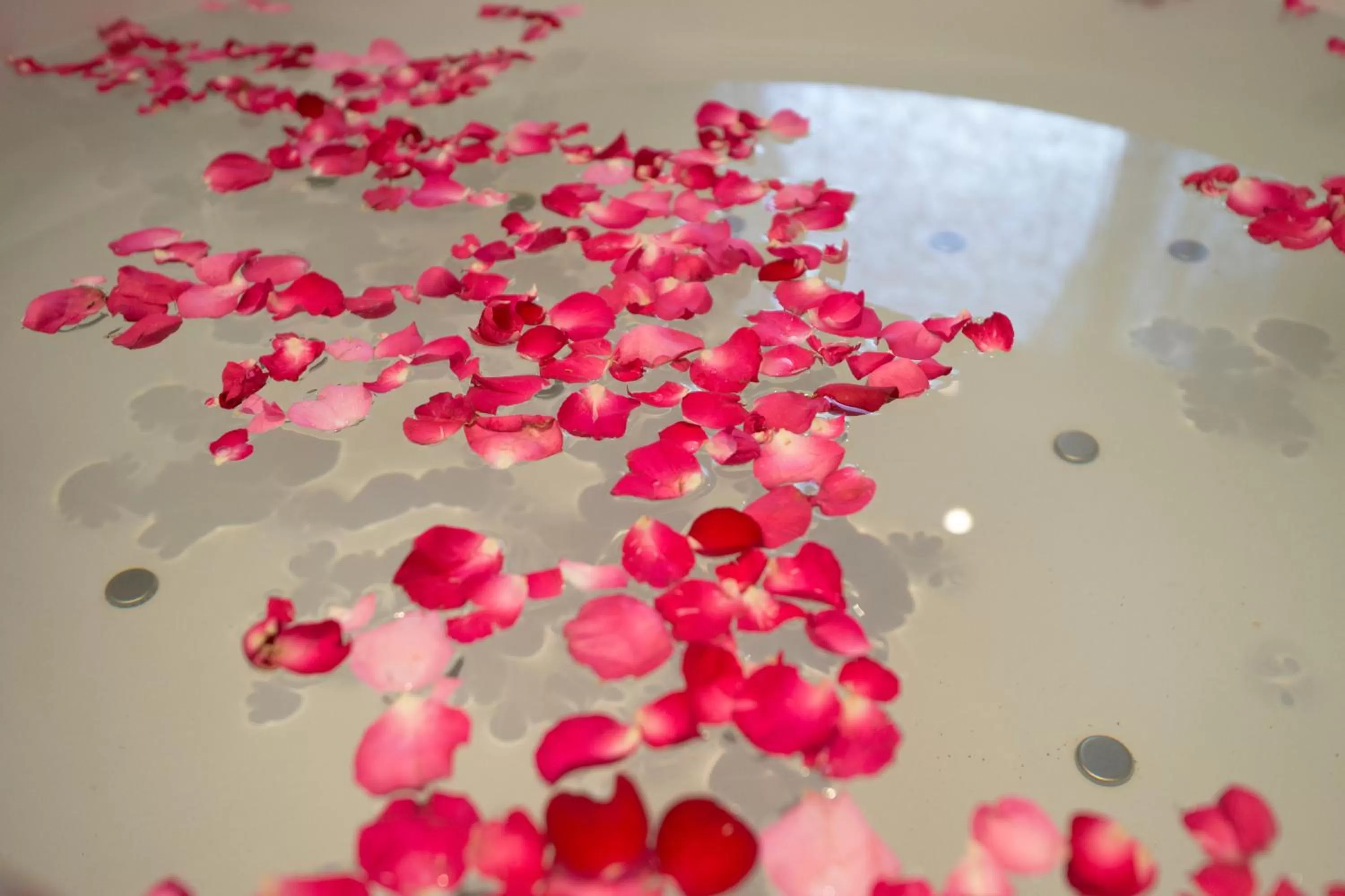 Kiss Gardenhome Chic Hotel