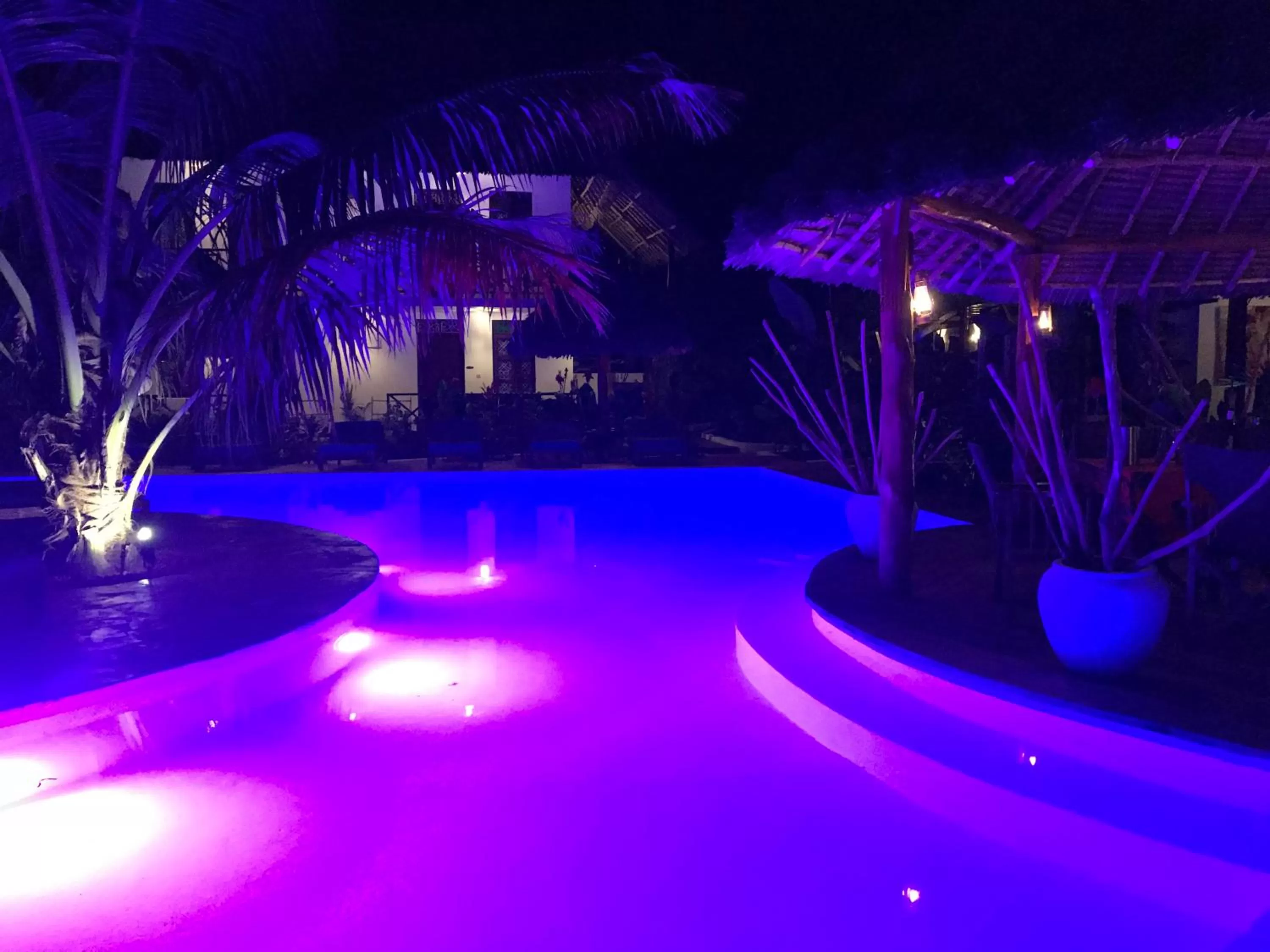 Pool view, Swimming Pool in Aluna Nungwi