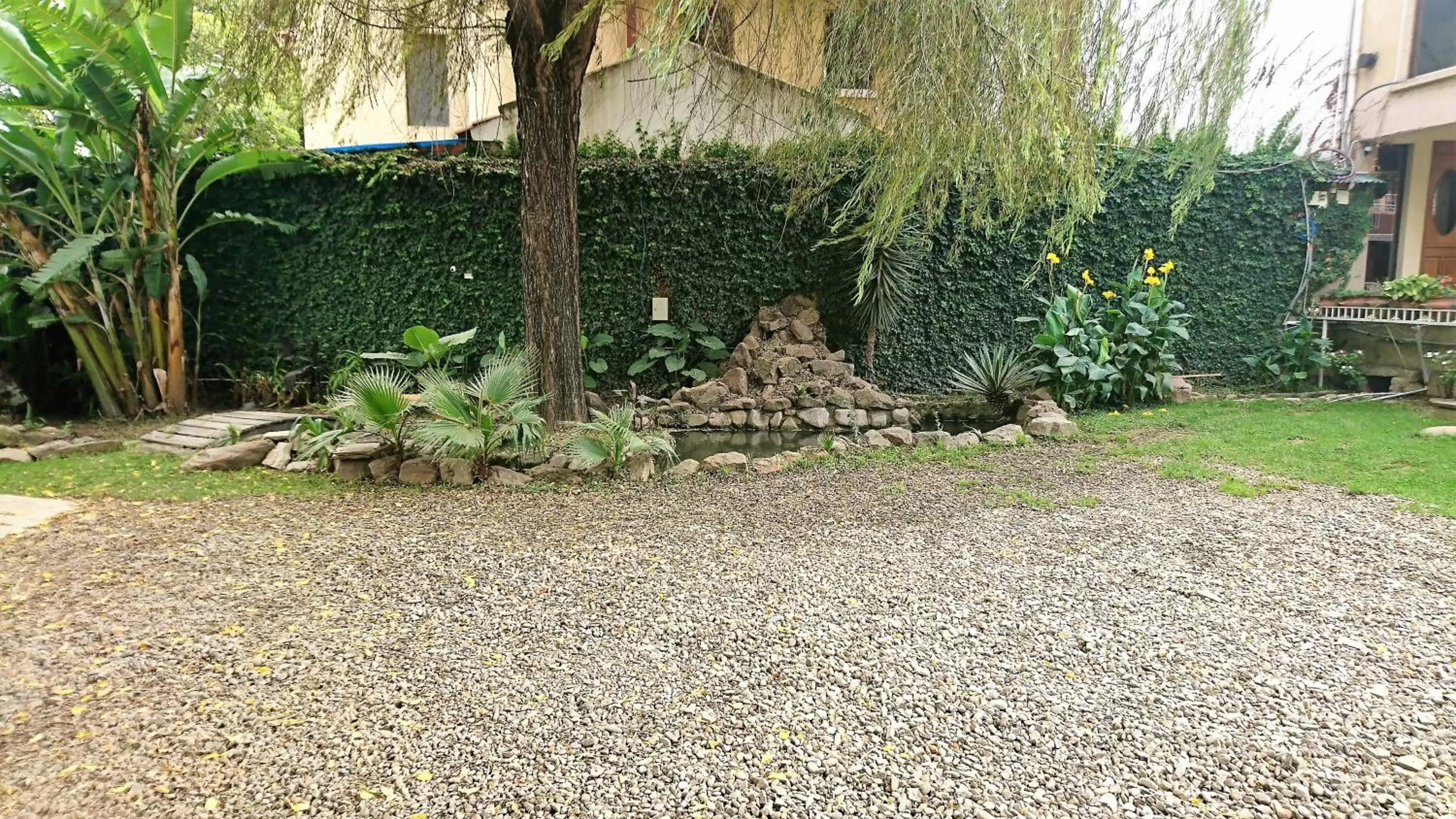 Garden in Hotel Los Ceibos