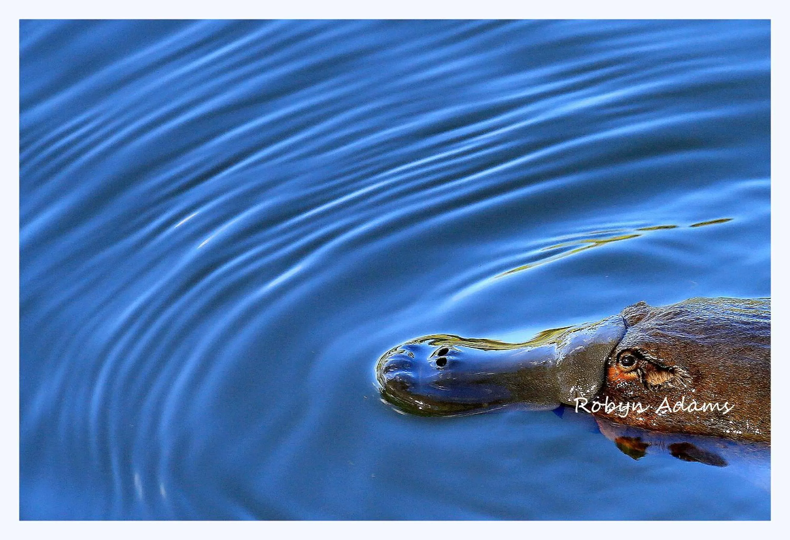 Off site in The Empire Hotel Deloraine