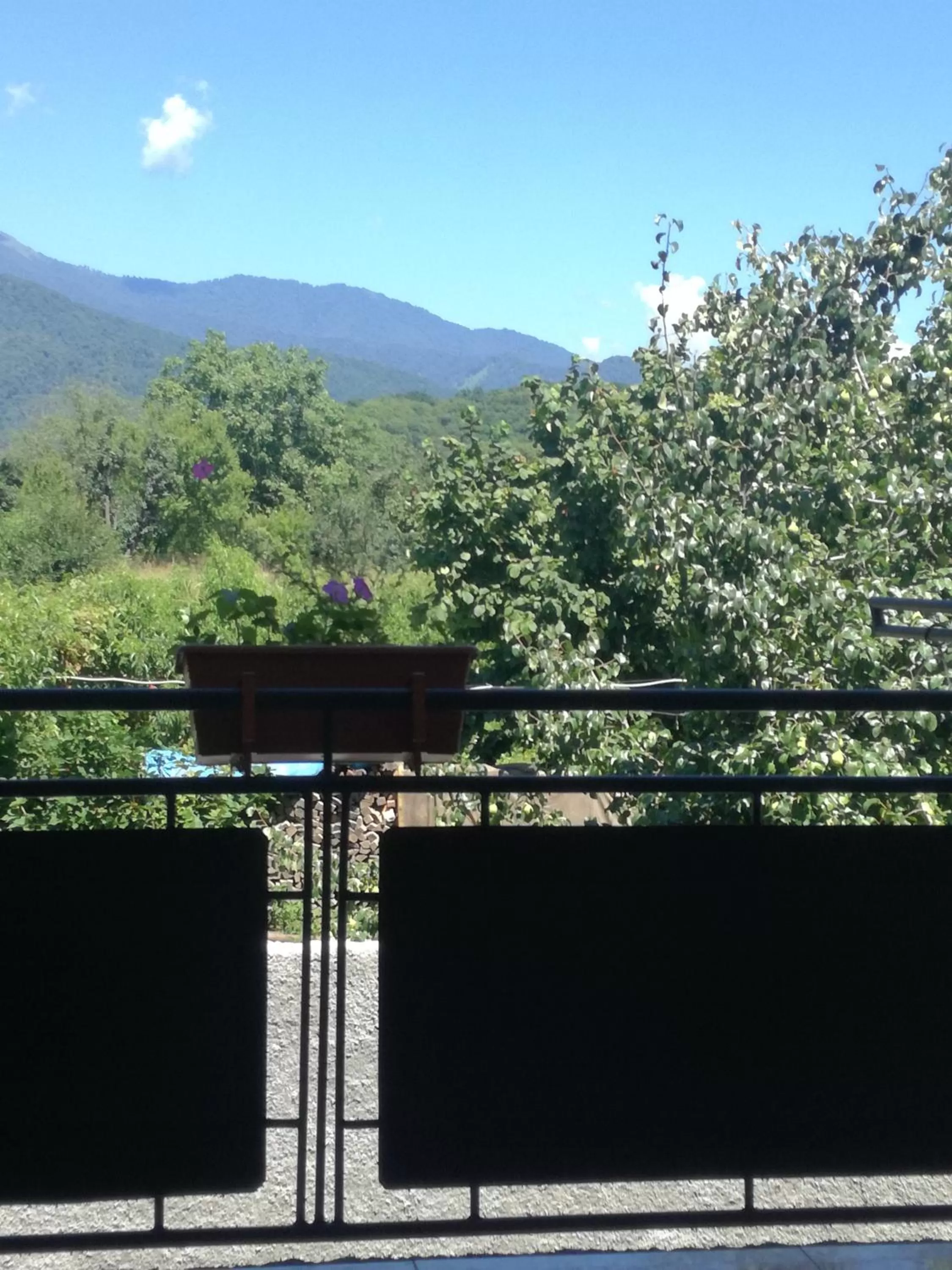 Mountain View in Guest House Kakheti