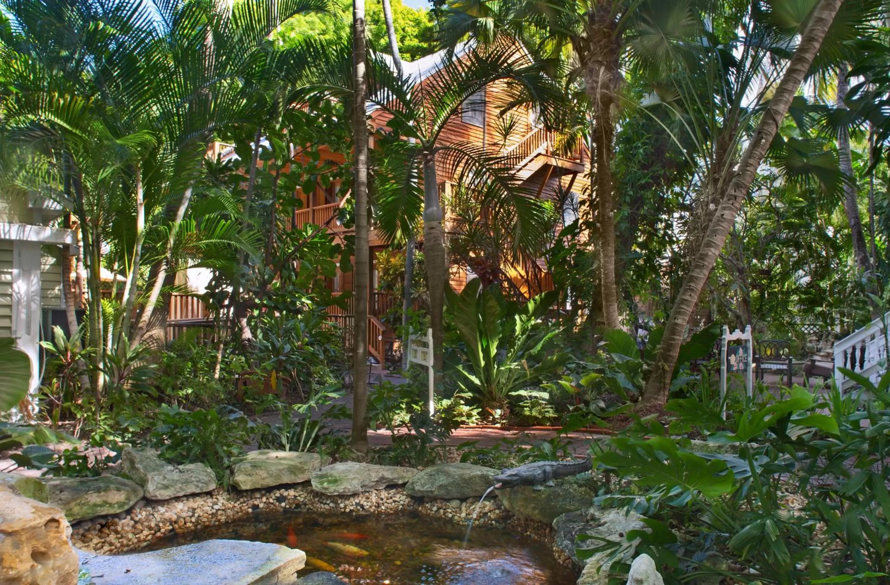 Garden in Island City House