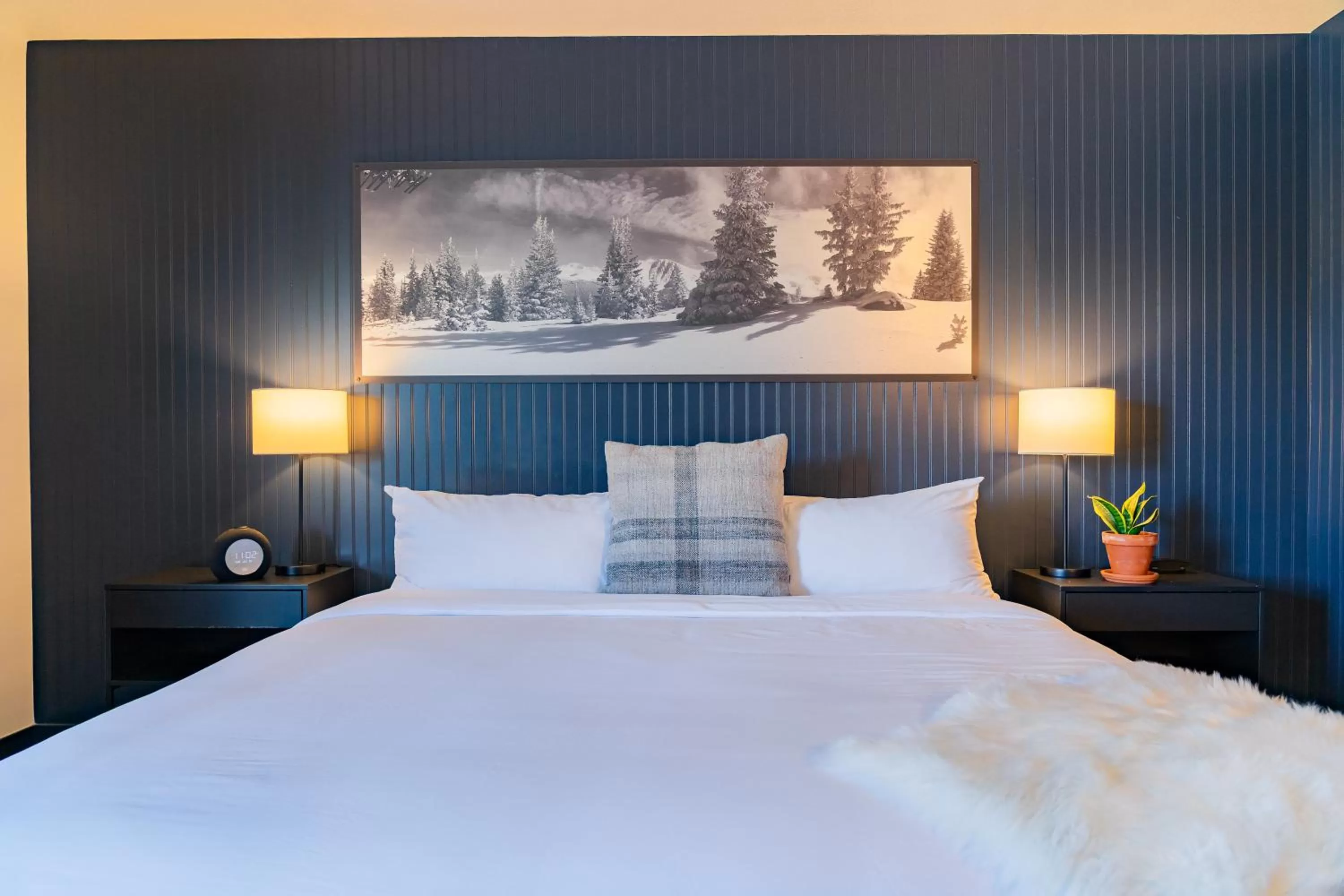 Bed in Gravity Haus Winter Park