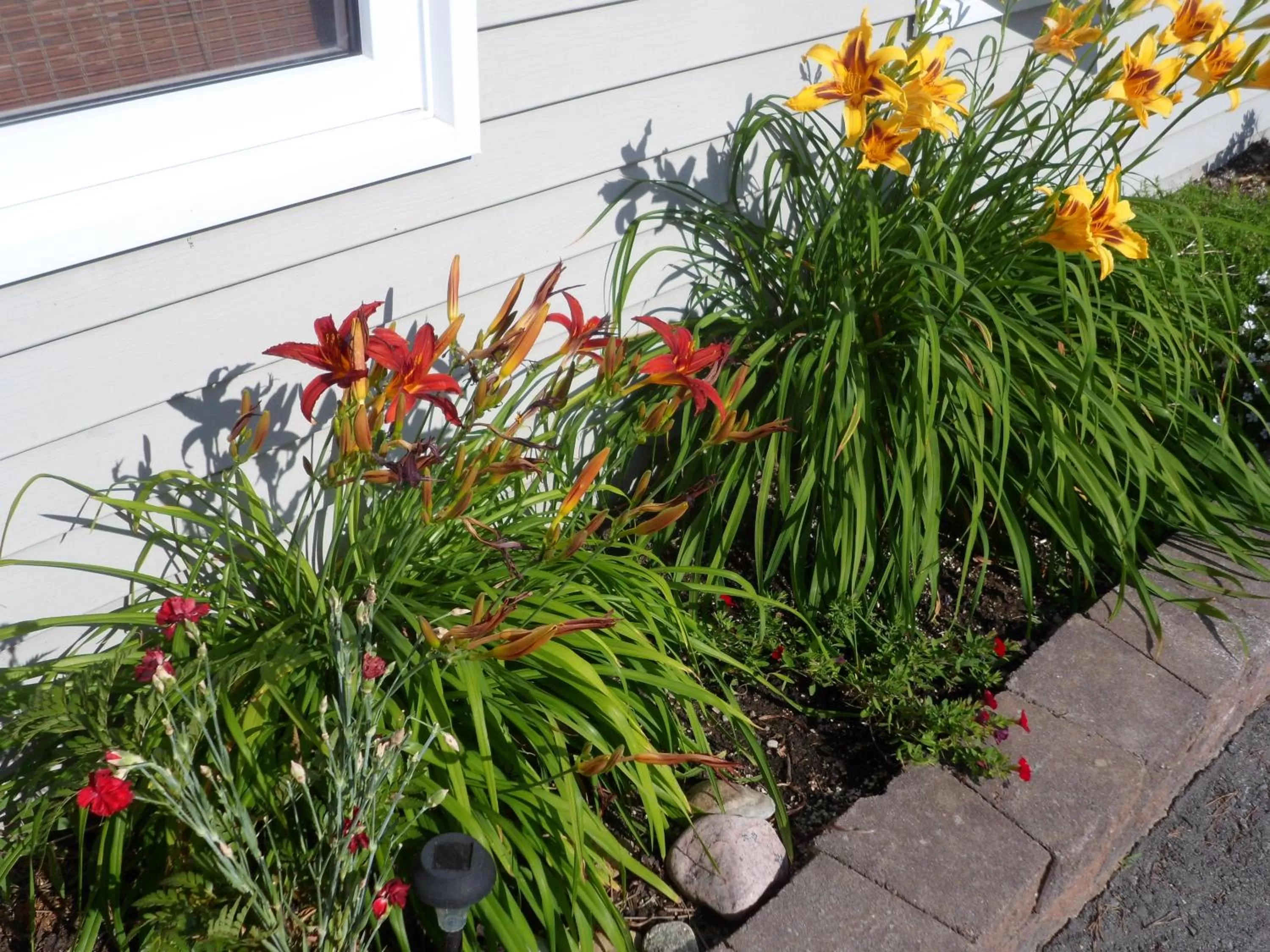 Decorative detail in The Silver Birch Motel